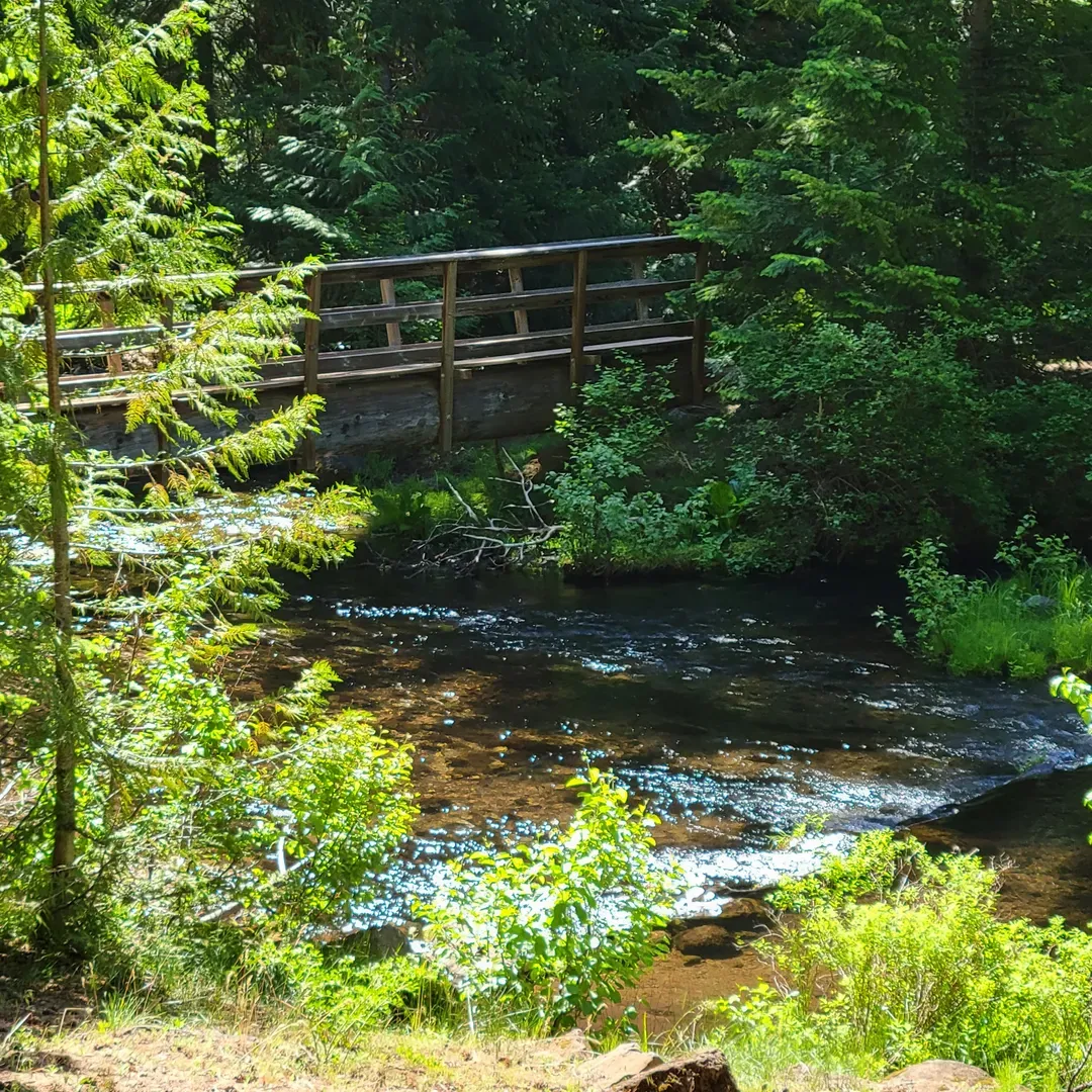 Clear Creek Crossing Campground offers a charming escape into the great outdoors, providing campers with an exceptionally maintained space for their adventures. The campground's access road is an adventure in itself, serving as a prelude to the rustic experience, and is best navigated with careful driving during daylight hours.

Upon arrival, visitors are greeted with an opportunity to secure a coveted spot right by the gentle murmur of Clear Creek, adding ambiance to the camping experience. The allure of the creek's proximity guarantees a scenic backdrop for campfires and morning coffees, making it an idyllic location for nature enthusiasts.

Camper etiquette is generally observed here with visitors showcasing a mutual respect for the serene environment and personal space. The generously spaced sites contribute to a sense of seclusion, allowing guests a private slice of woodland tranquility.

Whether seeking solitude or an engaging community of fellow outdoor lovers, Clear Creek Crossing Campground is undoubtedly a delightful retreat offering a genuine sense of being enveloped by the wilderness—a perfect getaway for those with a passion for raw nature and a thirst for peaceful camping experiences. Description by ChatGPT.