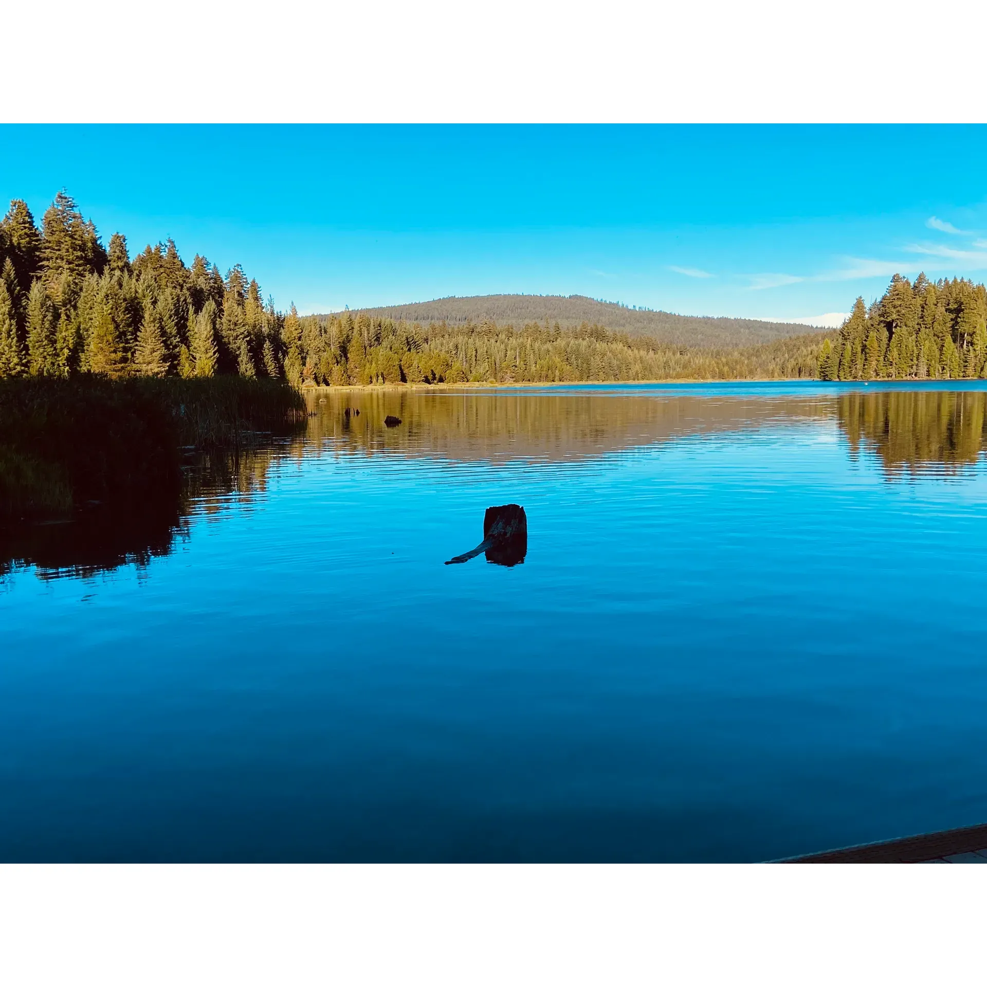 Tucked away in the scenic splendor of Timothy Lake, the North Arm Campground offers a blissful retreat for outdoor enthusiasts and nature lovers. This time-honored camping destination has earned accolades for its exceptional upkeep, boasting impeccably clean facilities and an ambiance of tranquility that ensures a satisfying stay.

A collaborative effort with PGE ensures that the campground, along with its neighboring sites, maintains the highest standards of cleanliness, particularly noted in the well-attended vault toilets and day-use areas. The friendly and dedicated PGE staff add to the site's charm, with their accommodating nature and eagerness to assist visitors in making their stay both comfortable and memorable.

Visitors can expect warm hospitality from campground hosts, along with expert insights into the area's diverse offerings. The notable site host, Bruce, is commended for his amiable nature and valuable advice, ensuring campers can fully engage in the recreational opportunities available.

The camping sites themselves are not only meticulously looked after but also generously sized. Site 13, for example, comes highly recommended and reflects the overall spaciousness and privacy accorded to guests. Convenience is enhanced with the availability of firewood bundles on-site, allowing for cozy nights and enjoyable campfire experiences.

Enthusiasts of solitude and seclusion will find solace here as the secluded spots provide not just privacy but also uninterrupted enjoyment of the luscious surroundings. The campground's serene atmosphere is complemented by stunning vistas that envelop the area, offering panoramic views that promise to captivate and enchant.

Bathrooms maintain an impeccable standard of cleanliness, adding comfort to the rustic experience. Nature's delights await as the local wildlife often make adorable and harmless appearances, bringing smiles to the faces of campers as they interact with the campground's curious and smaller inhabitants.

For outdoor adventure seekers, the surrounding area does not disappoint. Breathtaking hiking trails invite explorers to immerse themselves in the natural beauty, while the clear, albeit brisk, waters of Timothy Lake offer an invigorating swim.

In conclusion, North Arm Campground at Timothy Lake is a jewel for anyone looking to escape to a place of beauty, rest, and relaxation. With its well-kept sites, exceptional services, and nature's allure, it stands as a beloved camping spot that calls visitors back, year after year, to create precious memories amidst the great outdoors. Description by ChatGPT.