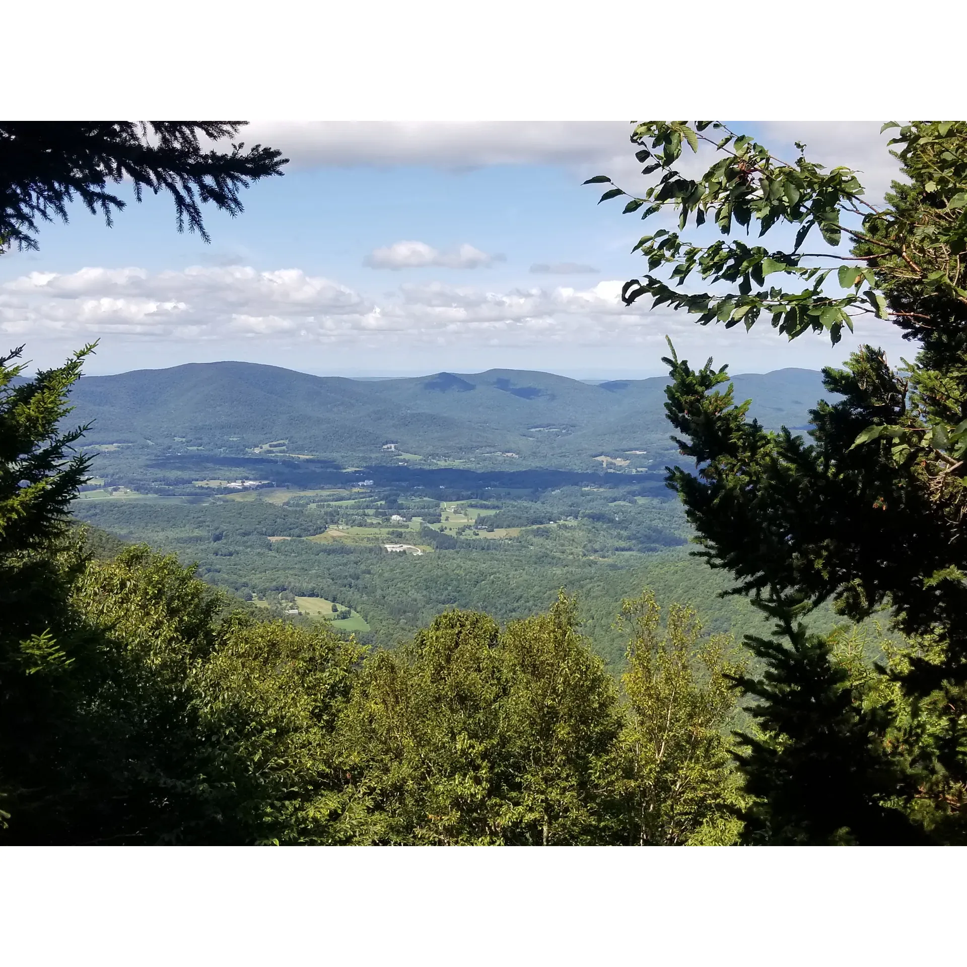 Sperry Road Campground is a well-regarded outdoor destination providing an idyllic setting for seasoned hikers and first-time backpackers alike. Strategically located as a halfway stop between Trailhead and the majestic Mt. Greylock Summit, the campground offers convenience for adventurers seeking to split their journey to the peak.

Visitors relish the abundance of campfire, grilling, and camping areas, perfect for enjoying the great outdoors. The campground maintains its charm with ample space for picnics and barbecues, allowing guests to immerse themselves in the picturesque views of nature, particularly breathtaking during the Fall season.

With a commitment to cleanliness and ample amenities, Sperry Road Campground has earned praise for its well-maintained facilities. In the wilderness of Mt. Greylock, guests find themselves surrounded by the tranquility of the remote natural environment. The dedicated caretakers enhance the camping experience by providing firewood delivery services upon request, ensuring campers can enjoy the warmth and ambiance of a crackling campfire under the stars.

The campground boasts a friendly and informative staff that eagerly assists with any needs while ensuring visitors have all the necessary details for a fulfilling stay. The rustic charm is complemented by conveniences such as cold, additive-free water from the hand-pump, ensuring a refreshing and authentic camping experience.

As a hike-in only site, Sperry Road Campground offers a range of camping spots from the more communal to secluded sites for those seeking solitude. Visitors are encouraged to choose their sites thoughtfully to tailor their experience according to personal preferences.

Sperry Road Campground is a true hideaway for those looking to connect with nature, offering a memorable escapade with every hike, campfire, and starlit night. For both newcomers and returning campers, it promises a setting that encapsulates the essence of wilderness camping with a touch of comfort. Description by ChatGPT.