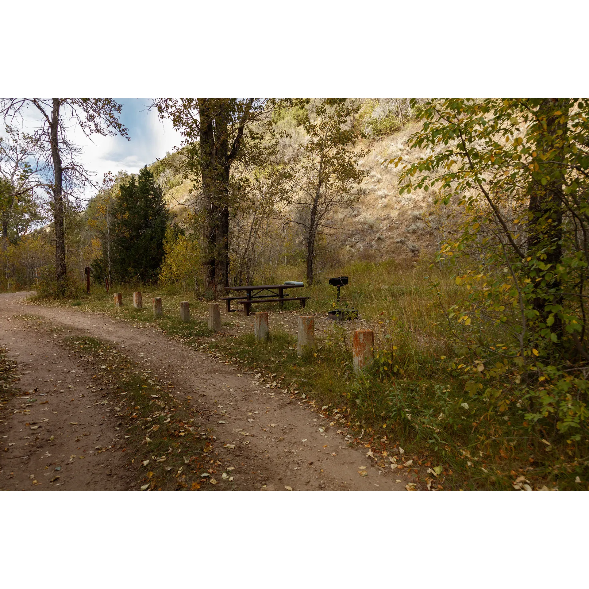 Pine Creek National Forest Campground is a serene outdoor haven for camping enthusiasts seeking an idyllic escape in the heart of nature. With the gentle sounds of the nearby river creating a tranquil backdrop, visitors can look forward to a delightful camping experience surrounded by agreeable scenery. Offering well-maintained camp sites that ensure visitors' comfort, the campground provides the convenience of permanent bathroom facilities strategically located close to each campsite for easy accessibility.

The camp sites themselves are thoughtfully spaced out, ensuring a certain level of seclusion and privacy for guests, making it a perfect setting for those who appreciate their own space amidst the great outdoors. Patrons can enjoy clean surroundings as they settle into their temporary homes away from the bustling city life.

Guests can also take advantage of the charming town of Jarbridge located just a stone's throw away. Jarbridge offers a warm and friendly community atmosphere with local amenities such as a restaurant, bar, and a small store to pick up any essentials or extras needed to enhance the camping experience.

Visitors are often greeted with open arms and smiles as the local residents are known for their friendliness, adding to the welcoming environment of the area. The low traffic at the campground assures a peaceful stay, while the proximity to Jarbridge provides a quaint cultural experience with the opportunity to engage with the most hospitable of locals.

Pine Creek National Forest Campground is not only a favorite among those who have experienced its charm but is also revered for the cleanliness and respectful nature of both locals and visitors alike. Whether seeking solitude or a friendly wave on the way to an adventure, travelers will find this campground to be a peaceful, private retreat that offers a genuine connection with nature and community. Description by ChatGPT.