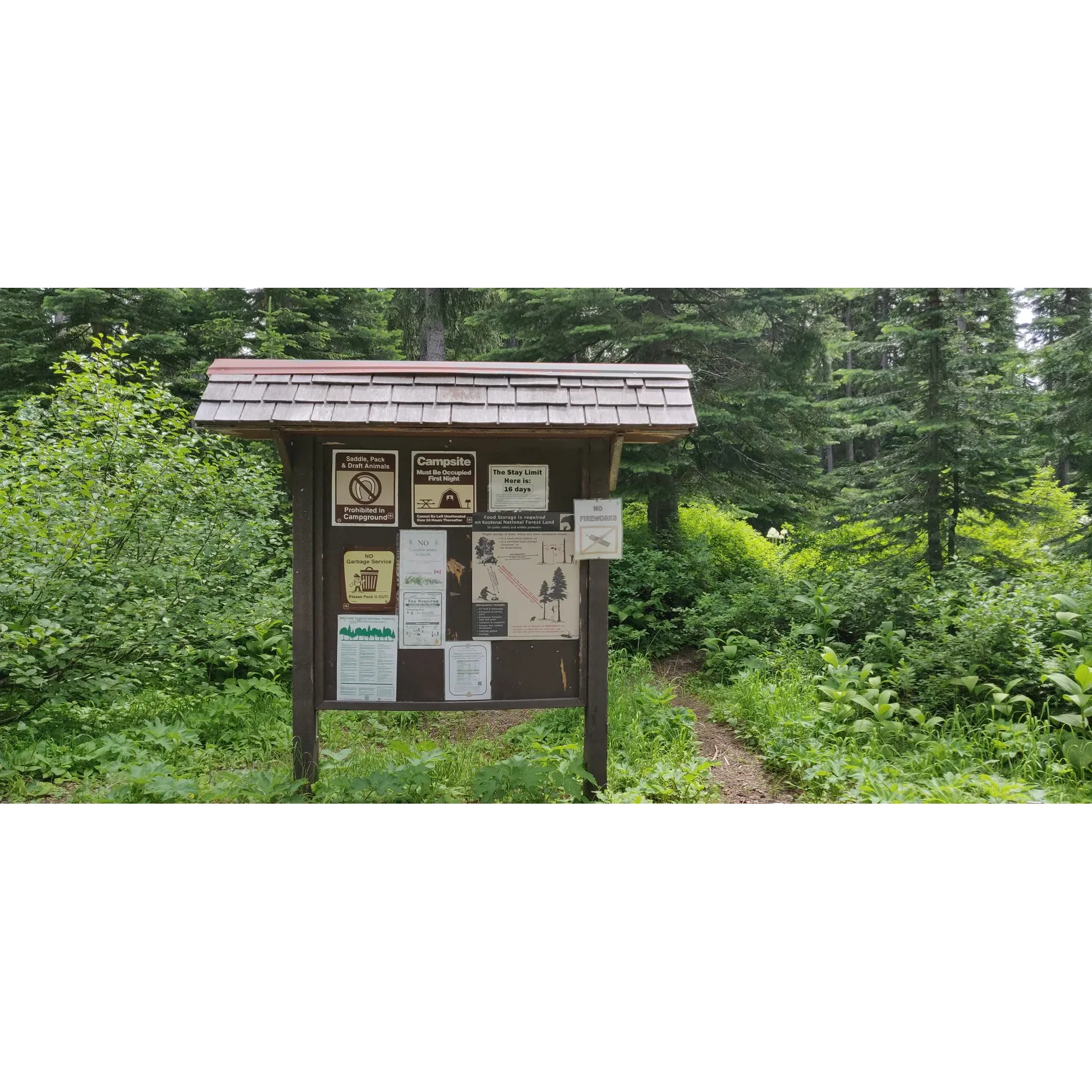 Little Therriault Lake Campground is a strikingly picturesque destination that promises visitors an idyllic outdoor experience. Tucked away in a pristine forest setting and ensconced by majestic mountains, this campground offers a tranquil retreat for nature enthusiasts. Guests rave about the crystal-clear waters that invite a sense of serenity, likening it to the purity of bath water.

The campground has garnered high recommendations for its exceptional conditions for fishing, camping, and hiking. Those who have ventured here describe it as a hidden gem, perfect for those seeking to immerse themselves in nature's beauty.

Visitors have expressed great fondness for the peace and quiet that envelops the campground, making it an ideal spot for relaxation and reconnection with the great outdoors. Additionally, its appeal is heightened by the opportunities for both overnight camping and daytime picnics.

The Little Therriault Lake Campground is celebrated as a top-notch location and comes highly recommended by those who have experienced its natural charms firsthand. It’s a prime choice for both seasoned campers and newcomers alike, looking to create lasting memories amidst a beautiful landscape. Description by ChatGPT.