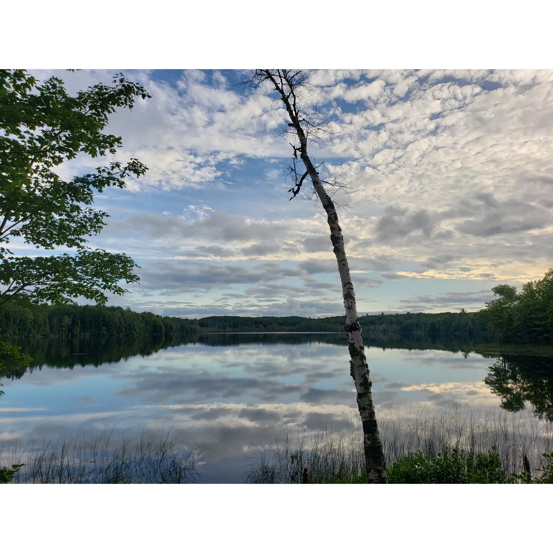 Lake Ste Kathryn Campground offers an idyllic escape for nature lovers and outdoor enthusiasts seeking a tranquil retreat in the midst of the Ottawa National Forest. This small, secluded campground provides visitors with a serene atmosphere coupled with picturesque lakefront sites. The journey to this hidden gem involves traversing gravel and dirt roads, an adventure in itself, which leads to an intimate setting that invites campers to connect with the natural charm of the surrounding environment.

Clean and well-maintained, the campground is a perfect spot for those who appreciate the simplicity of outdoor living, with traditional outhouses contributing to the rustic experience. It's the kind of place where visitors are encouraged to bring their own drinking water and immerse themselves in the full spirit of self-sufficiency and wilderness adventure.

The campground has become a cherished destination for many who return year after year, drawn by its primitive allure. It offers a peaceful respite from the modern world, with no cell service, allowing guests the chance to disconnect and unwind amidst the beauty of a tranquil lake and lush forest.

Those who love to paddle will find the lake fitting for a leisurely canoe or kayak journey, while the nearby wetland hiking trail provides an opportunity to explore the diverse flora and fauna on foot. Mornings by the lake are particularly magical, with the soothing calls of loons setting a serene soundtrack for the beginnings of each day.

Anglers will revel in the excellent fishing opportunities, with tales of bountiful catches bringing a sense of excitement and satisfaction. The area's beauty and seclusion contribute to a truly pleasurable angling experience, as the joy of reeling in fish complements the panoramic views and the calmness of the outdoor scenery.

For anyone seeking a place to create cherished memories while enjoying the essence of unspoiled nature, Lake Ste Kathryn Campground is an inviting choice. It stands as a beacon for those longing to indulge in peaceful leisure, while surrounded by the magnificent beauty of Michigan's Upper Peninsula. Description by ChatGPT.