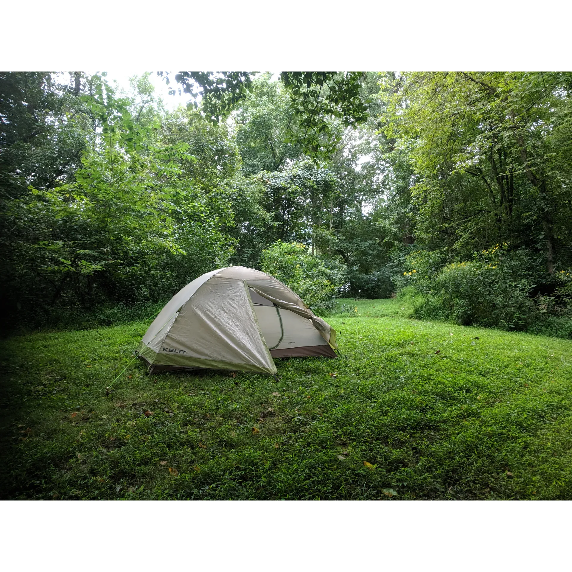 Purslane Run Campsite offers a serene getaway for outdoor enthusiasts seeking tranquility and privacy. Tucked away from the main trail, each camping spot is accessed through its own short pathway, providing campers with a sense of seclusion and personal space in nature. This unique feature enhances the experience and imparts an exclusive vibe to your outdoor adventure.

Adding to the allure, Purslane Run Campsite boasts a private trail leading to an untouched beach along the majestic Potomac River. This secluded spot allows guests to relax by the water, engage in beach activities, or simply enjoy the peaceful sounds of the river flowing by.

Guests consistently commend the beauty and quietude that envelop the campsite, making it an idyllic spot for those looking to unwind and disconnect. The natural surroundings create a perfect backdrop for a restful night's sleep under the stars. As a testament to the natural environment, campers may encounter local wildlife, like the gentle daddy longlegs, serving as a gentle reminder of the untouched beauty of the campsite's ecosystem.

For the adventurous spirit arriving after a day of exploring or biking, Purslane Run Campsite offers a rewarding retreat with its lush scenery, promising relaxation after a fulfilling journey along the towpath. With its blend of privacy, natural beauty, and access to the Potomac River, this campsite stands out as a preferred choice for both seasoned campers and those new to the great outdoors. Description by ChatGPT.