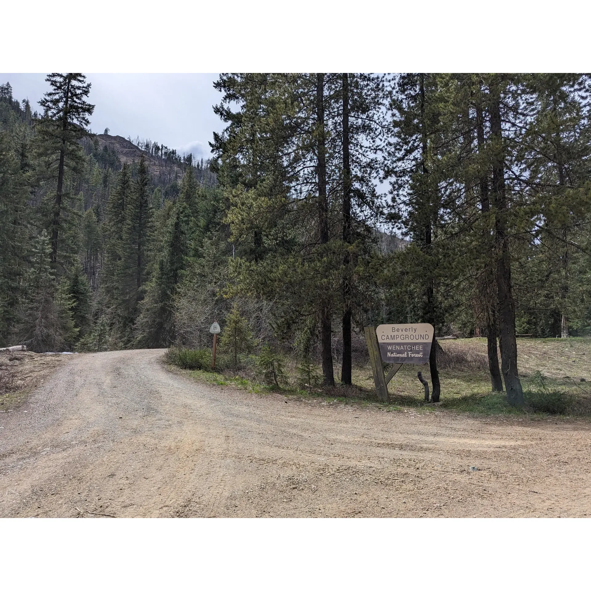 Beverly Campground offers an idyllic retreat for campers seeking a blend of serenity and outdoor adventure in the great wilderness. With spaciously laid-out sites, visitors are afforded a generous amount of privacy, perfect for those looking to unwind amidst nature's embrace. Guests have acknowledged the cleanliness and convenience of the facilities, with well-maintained porta-potties ensuring basic comforts are met.

Although access to the Teanaway River is limited, the proximity of the northernmost site to this waterway provides a delightful exception for water enthusiasts. The campground's simple amenities honor the rustic charm of outdoor living, with ample space for tent pitching, fire pits, and picnic tables to enhance the camping experience.

Visitors have often been charmed by the overall ambiance, describing Beverly Campground as a pleasantly secluded escape. It's a place where the beauty of the surroundings captivates, allowing for moments of tranquility and a chance to disconnect from the hustle of everyday life. The area embodies the quintessential camping spirit, offering guests the opportunity to soak in the picturesque natural beauty and create lasting memories in the wilderness. Description by ChatGPT.