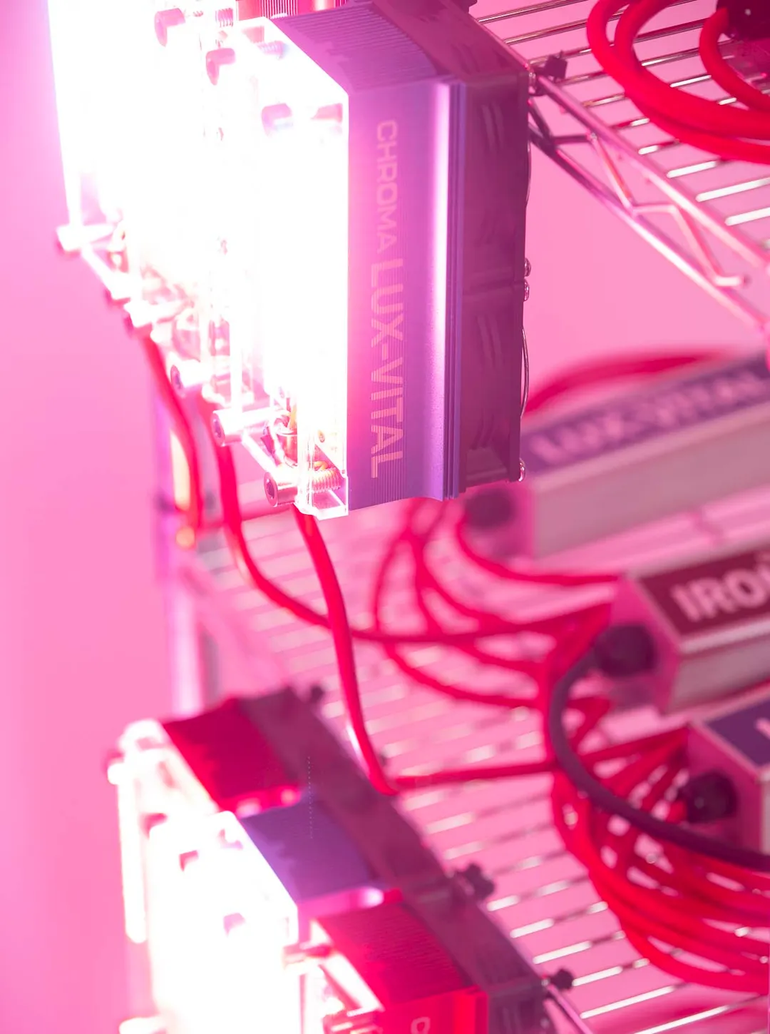 Ironforge Devices
Known for their high-intensity output, the Ironforge devices focus on delivering powerful red/NIR therapy to target deep tissue and encourage optimal recovery and performance.