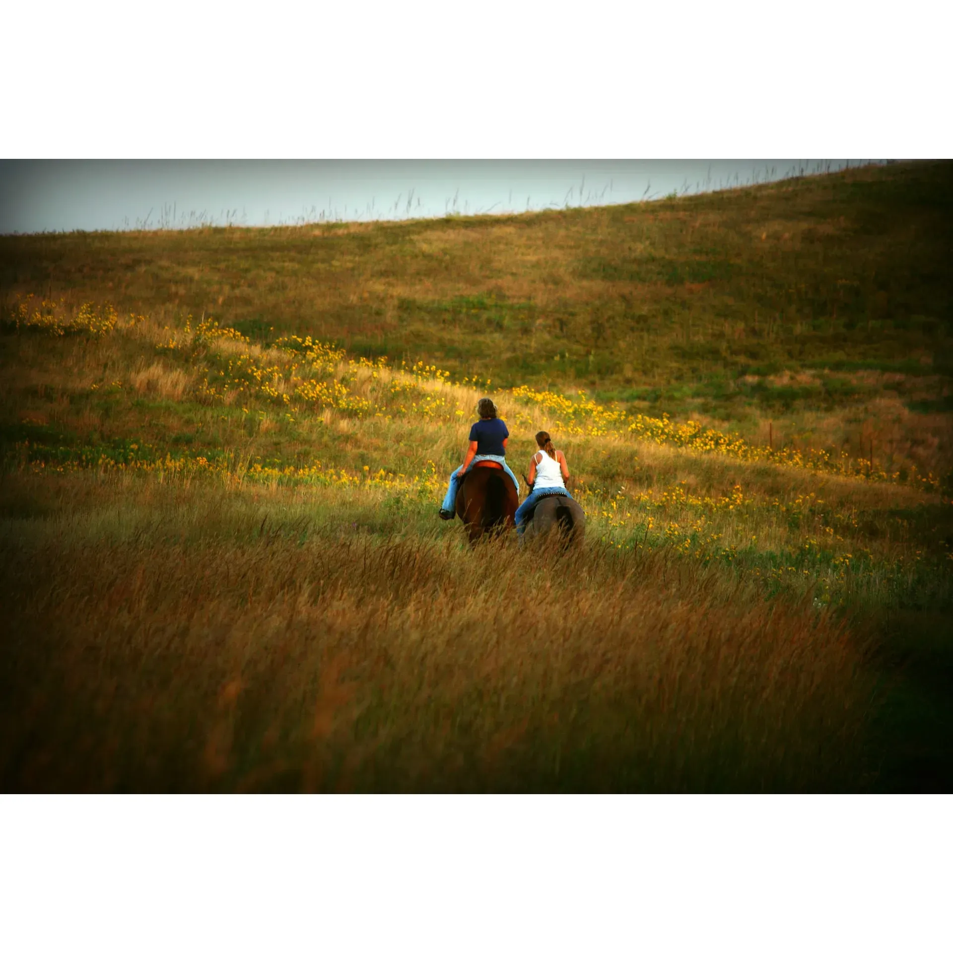 Escape to the picturesque expanse of Glacial Lakes State Park, a serene retreat boasting rolling hills and a captivating variety of birdlife, creating a delightful sanctuary for nature lovers and outdoor enthusiasts alike. Whether you're keen on a solo adventure or a family outing, the park offers a range of activities catered to all interests.

Explore the well-marked trails that will lead you through a medley of prairie meadows and lush wooded areas, rewarding you with stunning panoramas you'll want to capture and keep forever. Immerse yourself in the tranquil beauty of the surroundings as the park's pathways invite you to discover the local flora and fauna – keep your eyes peeled for herons, deer, and loons amongst others.

For those who love a night under the stars, the Oak backpacking site provides a memorable overnight stay, with a scenic backdrop perfect for an evening surrounded by nature's elegance. The park also features family-friendly amenities including a small yet inviting swimming beach where children and adults can cool off after a day of hiking.

Adventurous visitors will find joy in the water activities available, with paddle boards, canoes, kayaks, and life jackets on hand for rental, allowing you to glide across the water and fully appreciate the park from a different perspective. The fishing docks also beckon to those looking to cast a line in the hopes of a rewarding catch.

The park's gift shop presents a charming opportunity to take a piece of your visit home with you, with an assortment of stickers, t-shirts, and unique mementos to choose from. Meanwhile, park staff are always ready to enrich your visit with intriguing insights into the geological wonders that have shaped the landscape over millennia.

Glacial Lakes State Park delivers a refreshing blend of recreational fun and educational discovery, all set within a gorgeous natural tableau. With a commitment to maintaining a welcoming and engaging environment, it stands as a splendid getaway where life's simpler pleasures are embraced and cherished. Description by ChatGPT.