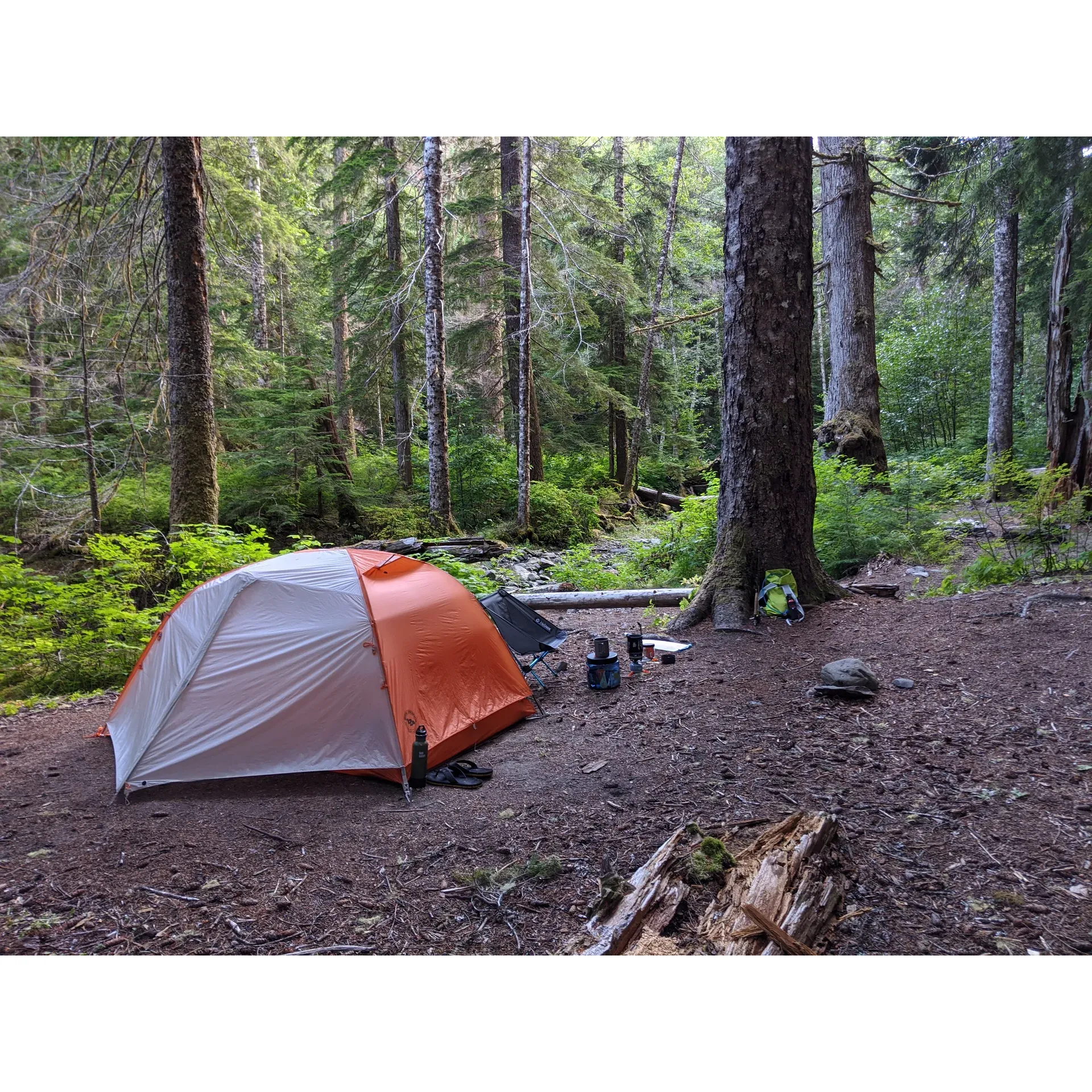 Big Timber is an idyllic paradise for nature lovers and outdoor enthusiasts seeking a serene camping experience. The beauty of this destination begins with the soothing vistas of the Dosewallips River, which flows harmoniously adjacent to the camp, offering excellent and convenient access to the crystal-clear glacial blue waters that beckon visitors for a refreshing dip or a moment of quiet reflection.

As a camper at Big Timber, you are welcomed to a variety of well-maintained campsites that cater to different group sizes, including a dedicated group site for larger gatherings. The setting is remarkable, with sun-filtered light sifting through the lofty canopy of dense trees from morning until afternoon, creating enchanting patterns of light and shadow—a haven for photographers and nature enthusiasts alike.

One of the striking features of this campground is its surprisingly clean and sanitary privy, ensuring visitors a comfortable and pleasant stay. The commendable cleanliness standards contribute to an enjoyable outdoor experience that puts campers at ease.

For those seeking the quintessential camping activity, Big Timber doesn't disappoint as it allows the delightful pastime of sitting around an open fire. Gather your friends and family to share stories, roast marshmallows, and enjoy the warm glow under a starry sky. Additionally, the camp provides a needed bear wire, adding peace of mind for guests amidst the wilderness.

Its seclusion is one of its most sought-after attributes, offering a tranquil escape from the bustle of daily life. Visitors will appreciate the sense of solitude and connection with nature, while still enjoying the comforts provided at the site.

Big Timber boasts a verdant environment just off the beaten path. Here, you don’t have to contend with dense underbrush, which means more room to set up camp and a cleaner natural environment. And if you’re visiting in late spring, you’ll find the area almost entirely free of snow, providing you with the perfect outdoor getaway as the seasons change.

Whether you're staying for a night or planning a longer excursion, Big Timber is the ultimate camping destination that blends accessibility with the untouched allure of the great outdoors. Description by ChatGPT.