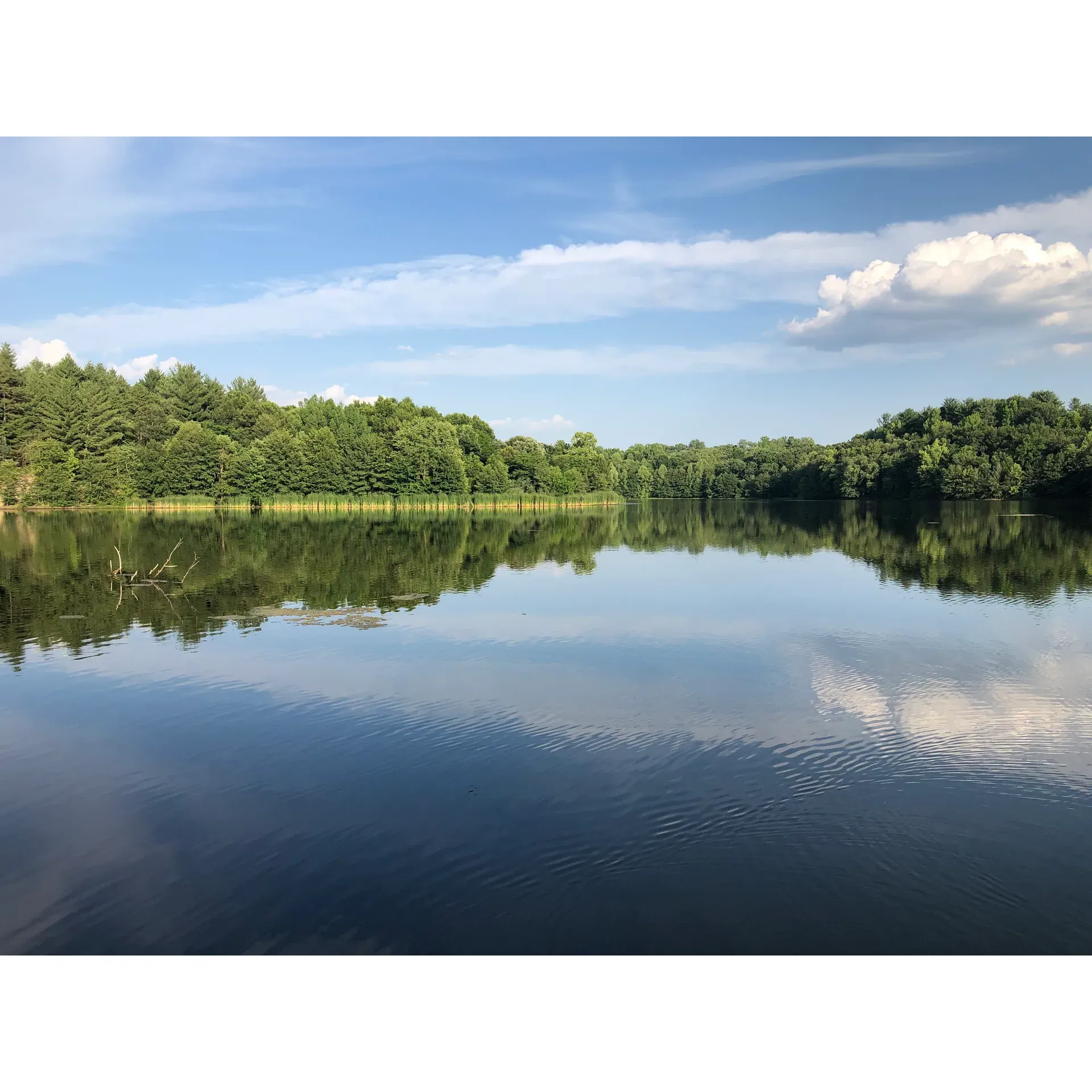 Rocky Fork Lakes Conservation Area is an idyllic destination for anglers and nature enthusiasts alike. Renowned for its excellent fishing opportunities, particularly in the evenings, visitors can immerse themselves in the serene ambiance and anticipate the thrill of the catch. The area boasts a thriving ecosystem where wildlife flourishes, providing an enthralling experience for all who appreciate the wonders of nature.

For those seeking picturesque scenes, the dock at Rocky Fork Lakes offers an unrivaled vantage point for soaking in stunning sunset views, adding a touch of tranquility to the day's end. Anglers have recently celebrated successful outings with abundant catches, especially crappie, enhancing the allure of this favored fishing spot.

In addition to fishing, the natural beauty of the conservation area is accentuated by well-maintained and beautiful trails, inviting visitors to explore the scenic views and trails that wind through this natural haven. Cleanliness and conservation are evident, as efforts to maintain and upkeep the space stand out, reflecting the care of both staff and conscientious visitors.

With its positive reputation for both the quality of fishing and the peacefulness of the surrounding environment, Rocky Fork Lakes Conservation Area continues to be a cherished destination for those who love fishing and the great outdoors, drawing returning visitors and new guests eager to enjoy everything the area has to offer. Description by ChatGPT.