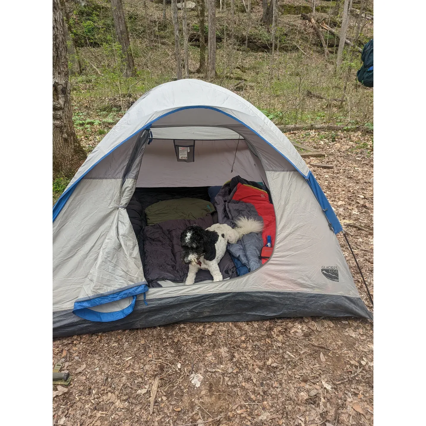 Three Springs Campground is an inviting oasis for lovers of the great outdoors seeking a secluded escape deep within a lush forest. The journey begins with an invigorating one-mile hike from the Maple Springs parking site, a scenic trek that presents an enjoyable challenge for those eager to embrace the rugged beauty of nature.

Upon arrival, guests are greeted by a serene clearing perfectly suited for setting up camp. Each campsite is well-appointed with a fire pit and a flat pad designed to accommodate a tent comfortably, offering adventurers a cozy spot to unwind under the forest canopy. While the wood in this area retains moisture, bringing your own stove assures a reliable cooking experience, letting you savor warm meals amidst the crisp woodland air.

A short, five-minute stroll from the campsite leads to the nearby river, serving as a picturesque backdrop for contemplation and an ambient soundtrack of gently running water. While the riverbank slopes may be steep, the proximity to such natural beauty only heightens the sense of adventure and connection to the wilderness.

Travelers who have traversed both the Temple Hill Trailhead and McCoy Hollow trail recount their experiences with enthusiasm, highlighting the splendid isolation and raw charm of the environment. Each path unveils a different facet of Three Springs Campground's diverse landscape, from fresh water streams to the thick foliage that springs to life, especially during the early spring months.

Three Springs Campground promises an authentic camping experience that caters to those with a passion for exploration and a reverence for nature's unspoiled splendor. It's an ideal destination for those who delight in the simpler pleasures of outdoor life and the tranquility that only a forest retreat can offer. Description by ChatGPT.