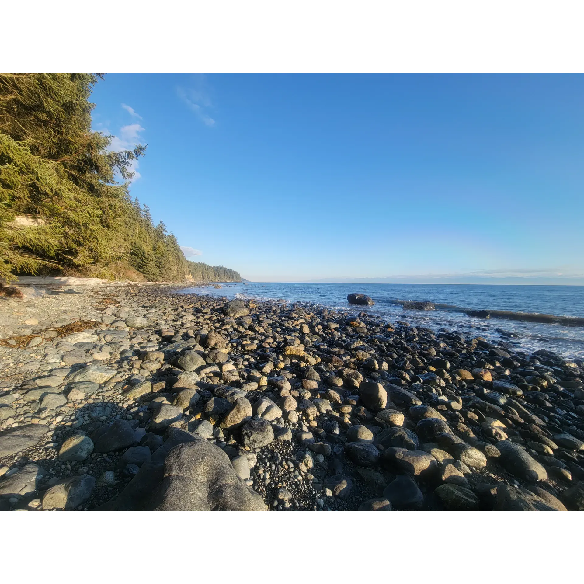 Bear Beach is an enchanting destination for those seeking solace in the embrace of the wild, untamed elements of nature. As a hidden gem tucked comfortably between the popular Mystic Beach and China Beach, it provides a serene coastal escape characterized by its rocky shores interspersed with inviting sandy spots.

Reaching Bear Beach is part of the adventure, beginning with an accessible hike down an old logging road, a journey that takes you through a forest adorned with natural markers in a mosaic of orange, pink, and blue ribbons tied by previous explorers. A twenty to thirty-minute walk among towering trees leads to a steep descent, guiding adventurers down a river path and culminating at the broad, rocky expanses of the beach.

Once there, visitors are greeted by stunning vistas and the soothing sounds of the ocean, often finding themselves as the sole observers of the beach's unspoiled beauty. It's the kind of secluded haven where one can encounter a myriad of camping spots, complete with the convenience of an outhouse, and the unique delight of a whimsically placed rope swing across the river – an activity that promises to inject a burst of fun into any excursion.

The beach's isolation assures a peaceful experience, where one can bask in the tranquility of nature without the interruption of crowds. It's a setting that resonates with those who appreciate a day spent in contemplation or a night under the stars, where the only company is the rustle of wildlife and the lapping of waves.

Bear Beach is indeed a testament to the wild and untamed, providing a majestic retreat for anyone willing to follow the trail less traveled. Whether seeking a quiet place to reflect or an idyllic spot to set up camp and gaze at the endless ocean, visitors leave with memories of a place that truly epitomizes the raw beauty of the Pacific coastline. It's a haven where each journey to its shores feels like a discovery, and every moment spent there is a treasure waiting to be cherished. Description by ChatGPT.