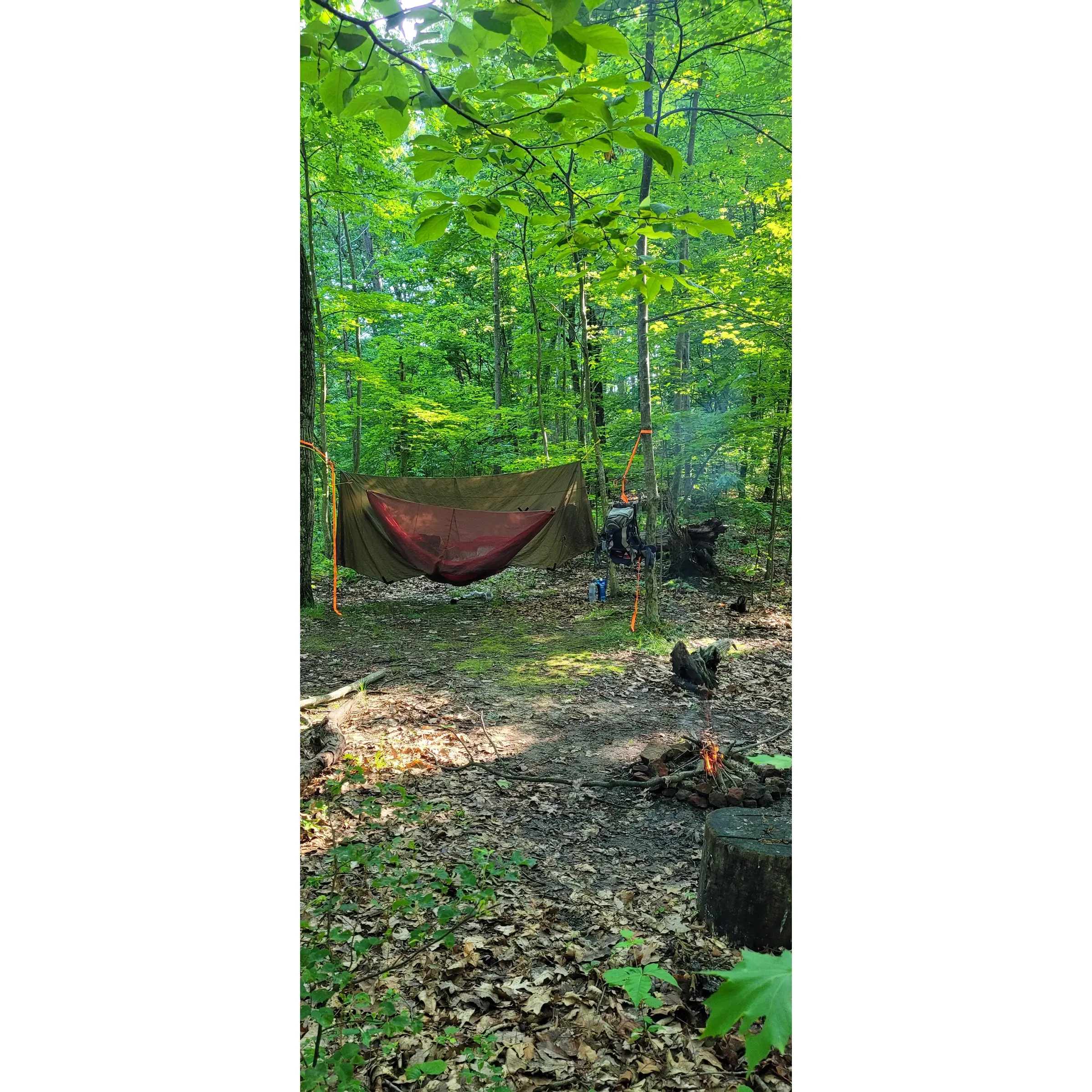 Zeleski State Forest Camp 3 provides an idyllic backcountry camping experience for outdoor enthusiasts seeking solitude and connection with nature. This secluded camp site is spread across a generous expanse of land, ensuring ample room for multiple groups to coexist comfortably without compromising on privacy.

Surrounded by the serene beauty of towering trees and lush forest undergrowth, the site invites campers to unwind in a peaceful environment. Each camping spot is well-maintained, offering a perfect blend of unspoiled natural surroundings and convenient camping facilities. The spaciousness of the campgrounds makes it an ideal choice for families, friends, and individual adventurers wishing to create lasting memories in the great outdoors.

With the forest providing a vibrant backdrop, campers have the opportunity to engage in a myriad of recreational activities. The area is crisscrossed with scenic hiking trails that cater to both the leisurely walker and the more determined hiker seeking to explore the region's diverse flora and fauna. For those who are keen on a more tranquil pastime, the campsite acts as a gateway to moments of reflection, bird-watching, or simply relaxing with a good book under the canopy of ancient trees.

Zeleski State Forest Camp 3 is a haven for those who appreciate the simplicity and beauty of nature, offering visitors a chance to disconnect from the hustle and bustle of modern life and reconnect with the earth's grounding energy. The clean, open space and the comforting silence of the forest provide the perfect setting for recharging one's batteries and enjoying quality time with loved ones or reveling in the solitude. The campsite’s reputation for being a well-regarded destination for peaceful retreats is consistently supported by the positive experiences of its visitors. Description by ChatGPT.