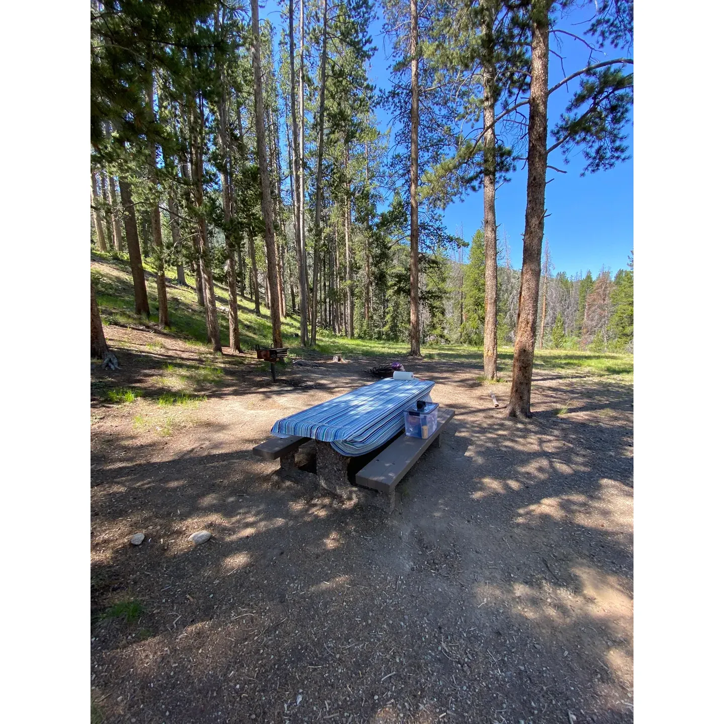 Little Joe Campground and Picnic Area stands out as a charming and intimate destination for nature lovers seeking a peaceful outdoor escape. This well-appointed campground prides itself on its immaculate facilities, including a clean restroom and the convenience of a hand pump providing fresh water to visitors. With a limited number of sites—two single and two double—it promises a cozy and personal camping experience, ensuring space and privacy for each group of campers. The layout is thoughtfully designed, maximizing the serene ambiance and making it an ideal spot for both individual campers and families to unwind and reconnect with nature.

The campground’s proximity to a babbling creek adds an element of tranquility and offers campers the delightful background melody of flowing water. This adds to the restful atmosphere and makes for an enchanting natural setting. The Little Joe Campground and Picnic Area represents a perfect jumping-off point for adventures into the nearby wilderness or a quiet retreat for those just shy of the bustling activity at Crystal Park.

Whether looking for a convenient place to pitch a tent or spend time outdoors, the Little Joe Campground and Picaic Area is a prime choice for anyone wanting to immerse themselves in the tranquility of a natural setting while enjoying the simple comforts of well-maintained amenities. It’s a splendid option for a brief hiatus from the hustle and bustle of everyday life, offering guests an opportunity to savor the great outdoors in a tidy and welcoming environment. Description by ChatGPT.