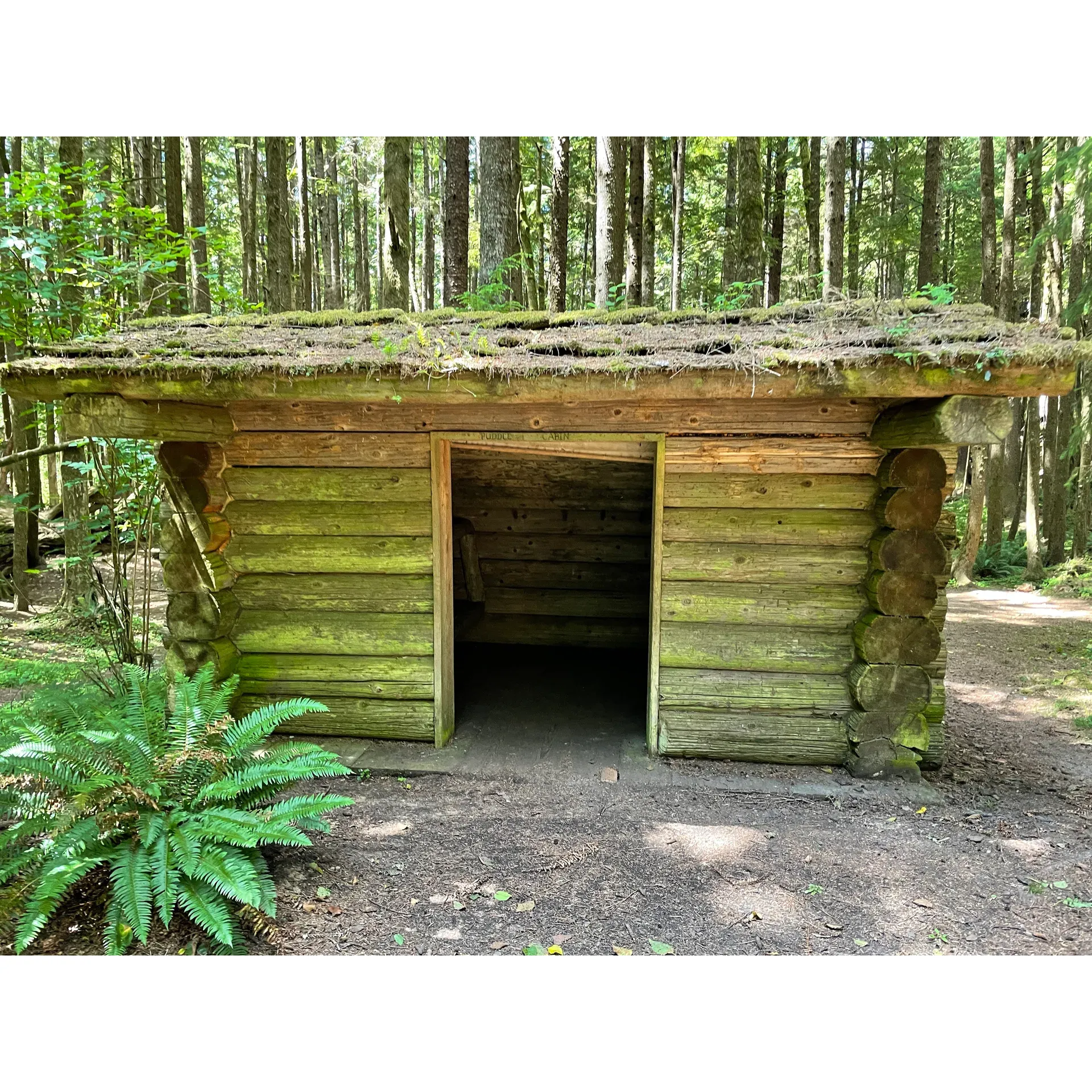 Hiker's Cam is a charming outdoor retreat for nature lovers and adventure seekers alike. Located within the breathtaking expanse of Tillamook Head, this camp offers a delightful sanctuary for those journeying through the picturesque trails of the Oregon Coast. With both the Seaside and Indian Beach entrances providing an invigorating uphill trek, hikers are rewarded with ample spaces to pitch their tents amidst the serene landscape.

For those who seek a more structured stay, the camp boasts well-structured shelters, including four cabins with cozy bunk beds, ensuring a restful night's slumber after a day of exploration. The communal fire pit invites storytelling and camaraderie, with firewood provisions and a convenient donation lockbox to support the camp's amenities. A covered picnic table area presents the perfect spot for groups to gather and fuel up for the day's hike or reminisce about the day's journey.

The camp is equipped with a sanitary bathroom facility, ensuring essential comforts are met even in the heart of the wilderness. Visitors can easily continue their trek westward from the camp, discovering hidden gems such as an intriguing underground bunker and the much-anticipated panoramic views of the Pacific Ocean and the iconic Tillamook Rock Light – a sight well worth the journey.

Further south, hikers can venture toward the majestic Ecola State Park, though it's essential to stay updated with trail conditions, as nature's elements can create dynamic changes to the path.

For the avid trekker starting from Ecola State Park, a 1.6-mile uphill hike leads to Hiker's Camp, offering a rewarding ascent and no shortage of natural beauty. However, it's important to come prepared with ample water, as natural water sources along the trail are scarce.

In essence, Hiker's Camp stands as a prime destination for those seeking tranquility and the raw beauty of Oregon's coastal wilderness. With the essential amenities to cater to hikers' needs and idyllic spots for rest, it is a splendid basecamp for adventurers eager to immerse themselves in the splendors of Clarks Mountain and the surrounding vistas. Description by ChatGPT.