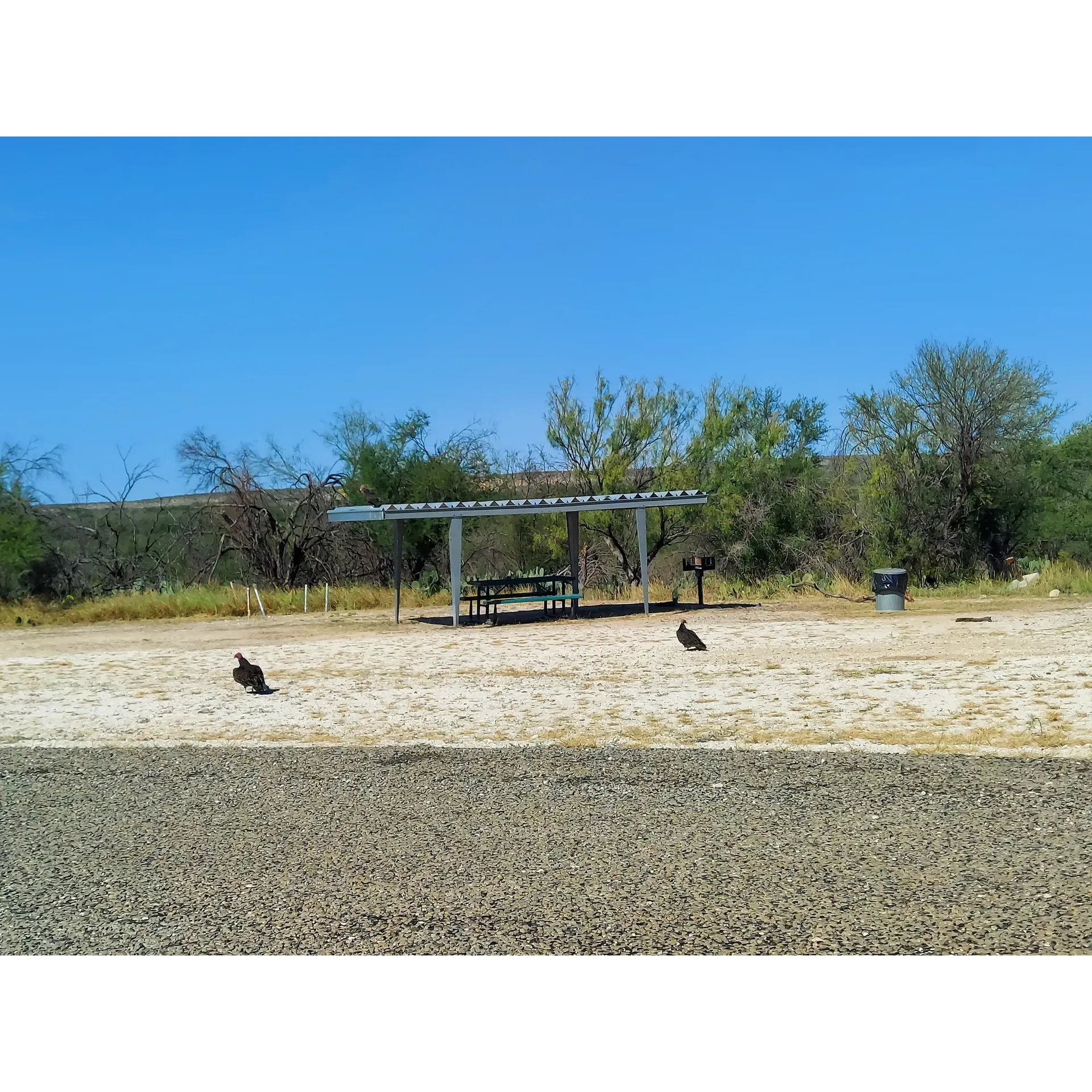 Spur 406 Campground at Amistad National Recreation Area is a serene oasis that caters to those seeking a peaceful retreat in nature. The campground boasts a welcoming environment where cleanliness is a priority, ensuring that guests have a comfortable and enjoyable stay. Visitors can take advantage of the conveniently placed picnic tables to enjoy a meal amidst the scenic surroundings, each accompanied by a trash can to maintain the site's natural beauty.

Set amidst the vast expanse of the Amistad National Recreation Area, this campground offers plenty of wide-open spaces for guests to set up camp, ensuring privacy and tranquility. Those staying at Spur 406 can stay connected with the convenience of good Wifi service, enhancing the camping experience for those who wish to remain online.

Wildlife enthusiasts will be delighted by the local fauna that roams the area, including sightings of amiable armadillos and graceful deer. It is an idyllic backdrop for wildlife observation and photography. Guests are encouraged to explore the surroundings where the road concludes its journey at the water's edge, offering an unexpected interaction with the landscape as it merges with the lake. This spot is particularly picturesque, dotted with flocks of ducks that glide gracefully across the water, adding to the serene atmosphere of the campsite.

For added peace of mind, Spur 406 Campground is well-patrolled, ensuring a safe and secure environment where visitors can relax and unwind. The seclusion of the site contributes to the sense of a private getaway, making it an ideal selection for campers who prefer a more intimate connection with nature.

Complete with essential amenities, including two restrooms for guest convenience, Spur 406 Campground at Amistad National Recreation Area provides a delightful natural setting combined with thoughtful facilities to create a memorable outdoor experience. Whether seeking solitude, an escape from the hustle and bustle of daily life, or simply a picturesque location to enjoy the great outdoors, this campground emerges as a top choice for a wide array of campers and outdoor aficionados. Description by ChatGPT.