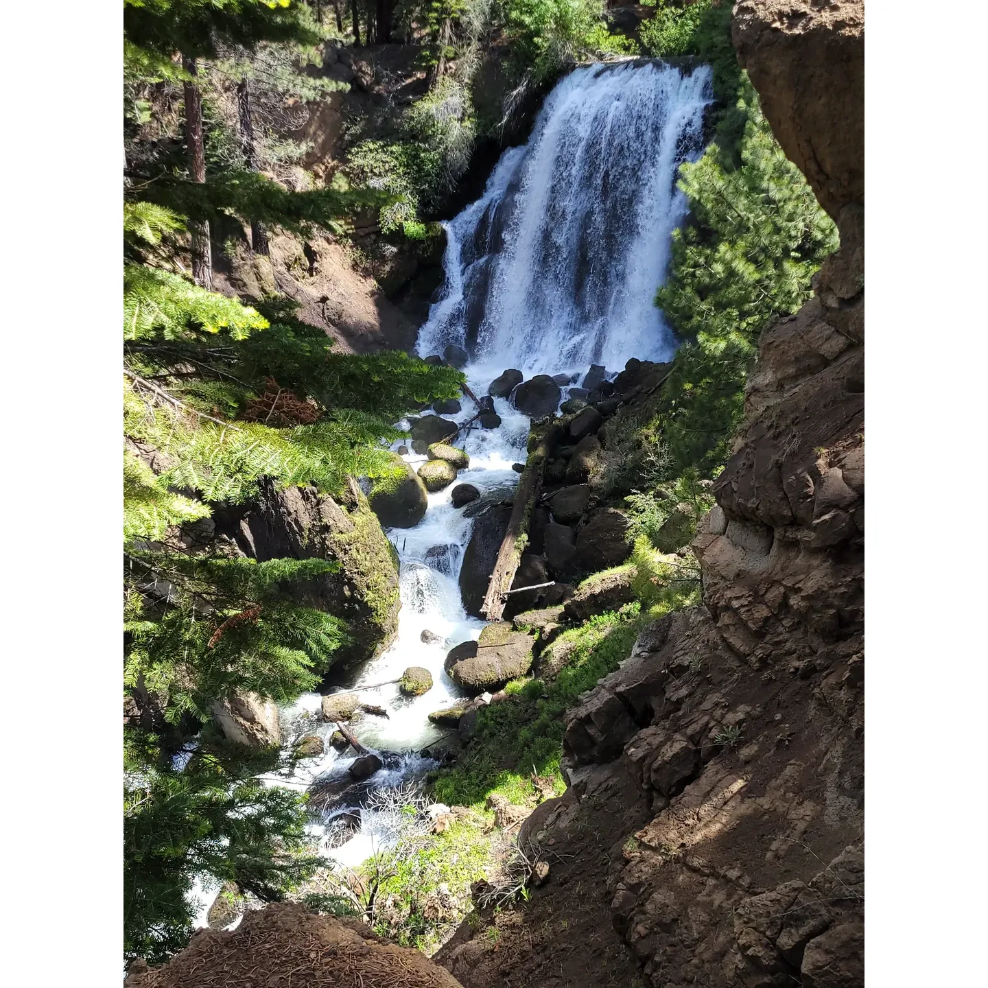 Mill Creek Falls Campground is a serene retreat for nature enthusiasts seeking a tranquil experience in the great outdoors. This charming campground boasts approximately 20 well-maintained sites, providing an intimate setting for campers to enjoy their surroundings. The amenities include clean pit toilets that ensure basic comforts are met and contribute to the overall tidy environment.

Visitors can take comfort in added safety features such as bear-proof garbage cans and convenient recycling containers, promoting eco-friendly camping practices. A stunning waterfall and picturesque lake are accessible via scenic hiking trails directly from the campground, offering a rewarding adventure for those who appreciate natural beauty.

The Campground is a haven of peace and natural splendor. Campsites are enveloped in a lovely pine forest, offering ample shade and privacy. Natural water sources nearby provide a soothing backdrop, enhancing the calm atmosphere. Its seclusion makes it ideal for those seeking a getaway from the hustle and bustle of busier locations.

Those venturing to Mill Creek Falls Campground can expect a comfortably positioned site, fostering a sense of solitude and escape. A trailhead located within the grounds ushers hikers toward breathtaking falls and beyond, embracing the spirit of exploration. The diligent efforts of the Forest Services in maintaining cleanliness contribute significantly to the campground's appeal.

Overall, Mill Creek Falls Campground is a picturesque destination that showcases the pristine allure of staying within a tranquil pine forest. Its clean facilities, environmental consciousness, and stunning natural attractions make for a truly comfortable and memorable camping experience. Description by ChatGPT.