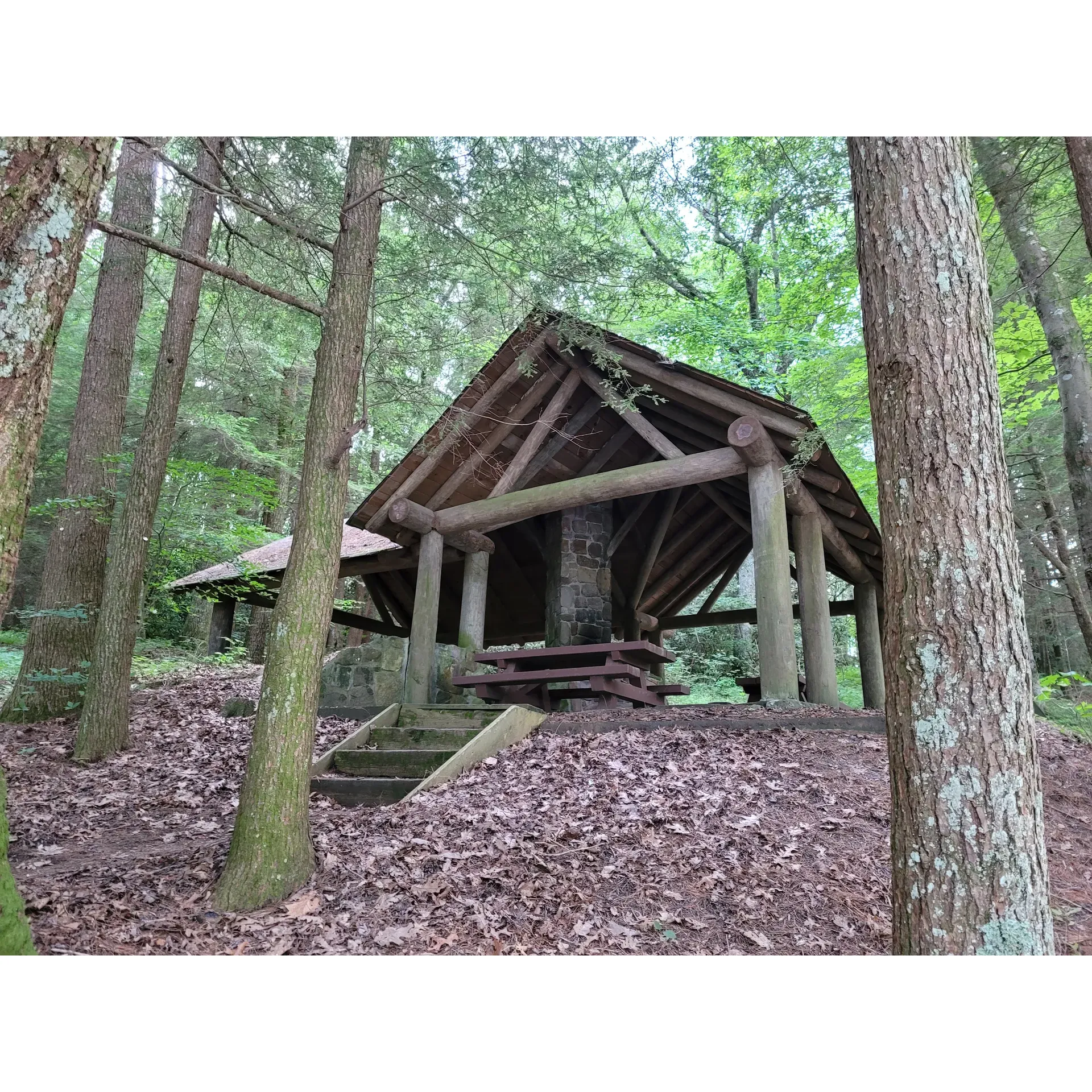 Immerse yourself in the serene embrace of nature at Lake Conasauga Campground, a tranquil getaway for those seeking a peaceful retreat. Amidst majestic forests, this small campground offers generously-sized lots that accommodate camping adventures, including those with campers up to 25 feet. Visitors are welcomed by the pristine beauty of a glistening lake, providing an idyllic setting for relaxation and contemplation.

At each campsite, you will find convenient water spigots ensuring fresh water is always at hand. The surrounding area boasts of a lovely trail encircling the lake, inviting guests to explore the natural splendor on leisurely walks. The facilities at Lake Conasauga Campground include decently maintained restrooms, complete with full septic and water services, adding comfort to your pristine wilderness experience. 

While the drive to this secluded gem reveals the beauty of mountain gravel roads—accessible by most vehicles, including those without 4x4 capabilities—the journey itself adds to the adventure. Visitors are encouraged to come prepared with essential supplies like firewood, as the remote location maintains its untouched charm without the presence of a general store.

Lake Conasauga Campground is undeniably a destination that caters to those who delight in the peacefulness of the wild. It’s a haven for tranquility, where the only company you'll find is the undisturbed beauty of nature and the exclusive circle of your fellow campers, who, like you, have discovered this unspoiled paradise. Whether braving the chill of mountain nights or basking in the seclusion of the backwoods, this campground is a must-visit for enthusiasts yearning to reconnect with nature while enjoying some basic conveniences. Remember to make reservations ahead of time to secure your spot in this coveted outdoors experience and respect the posted campground rules to ensure a continued pristine environment for all to enjoy. Description by ChatGPT.