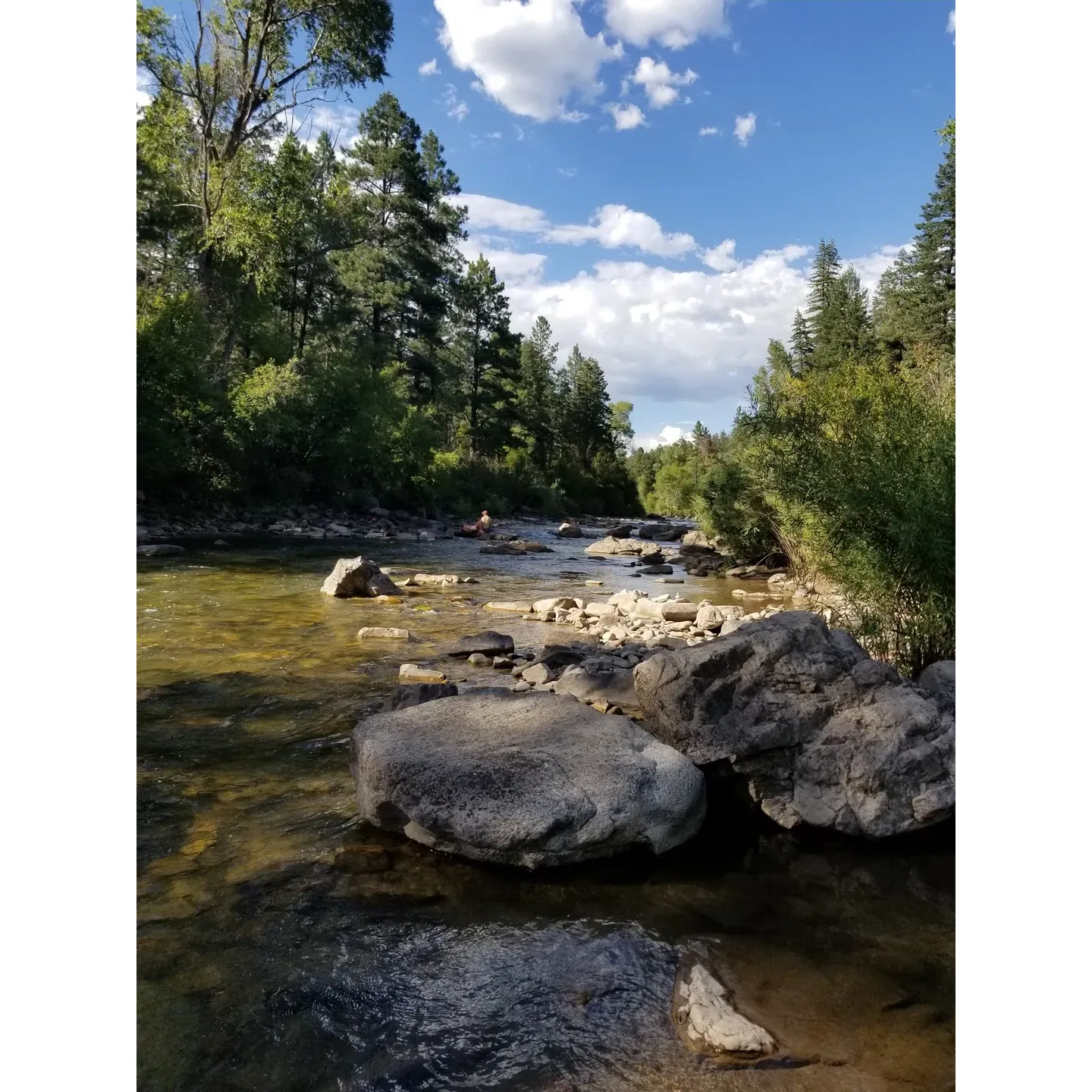 Discover the charm of outdoor bliss at Lower Piedra Campground, where the beauty of nature meets impeccable hospitality. Embraced by serene landscapes and the gentle flow of the river, this campground is a haven for campers seeking a peaceful retreat. Renowned for its exemplary cleanliness, visitors can expect well-maintained facilities, including pristine bathroom amenities thoughtfully stocked with wipes and sanitizer for your convenience.

As you settle into your clean and spacious campsite, let the tranquility of the surrounding forests envelop you in a state of calm and relaxation. Adventure enthusiasts will delight in the proximity to natural hot springs—a hidden gem just a hike up the river, promising a fun-filled quest with a rewarding soak in nature's spa.

The true heartbeat of Lower Piedra Campground is the exceptional camp host, Pickett, whose warmth and dedication ensure every guest feels welcome. Praised for her friendly demeanor and unwavering support, Pickett is always on hand to assist with any need, enhancing your stay with a personal touch.

With the river's soothing murmurs as your backdrop, this idyllic camping site invites you to embrace outdoor recreation with enthusiasm or simply relax and unwind under the canopy of stars. Whether you're planning a return visit or experiencing its magic for the first time, Lower Piedra Campground is a place where beautiful memories are forged, and the allure of nature's splendor beckons you to stay a little longer. Description by ChatGPT.