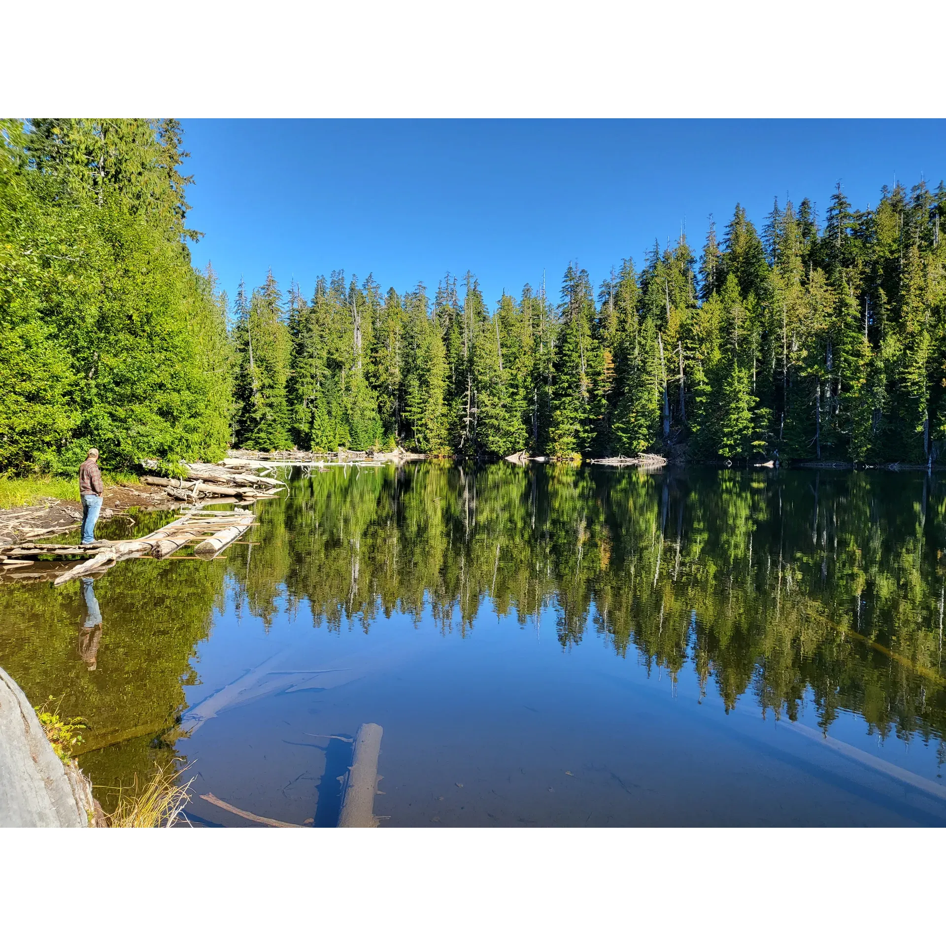 Yahoo Lake Campground offers a serene and unspoiled retreat for those looking to immerse themselves in the tranquility of nature. The journey to the campground is an adventure in itself, rewarding the determined traveler with a pristine environment, removed from the hustle and bustle of urban life.

Upon arrival, explorers will find the walk to the lake both short and manageable, unveiling a picturesque and intimate body of water that gleams magnificently on sunny days. The lake is surrounded by the timeless beauty of old growth rainforest, with an inviting trail that invites visitors to meander around its perimeter, breathing in the peacefulness that only such a secluded spot can offer.

The campground features a handful of thoughtfully located campsites equipped with tables and fire pits, perfect for those who appreciate the simplicity of the great outdoors. While the facilities are basic, which heightens the sense of adventure and encourages a true back-to-nature experience.

Seasoned campers take delight in the seclusion and recommend bringing essentials such as firewood and bug spray to enhance their stay. With careful planning, the absence of nearby urban sounds becomes a boon, ensuring that nights are punctuated only by the gentle whisper of the wilderness.

Yahoo Lake Campbuilding is a favored destination for those seeking solace, a deep connection with the environment, and a genuine escape from the digital world. It is a testament to the enduring charm of unadorned camping. Whether seeking solitude or wanting to create lifelong memories, visitors leave with hearts full and a yearning to return to this hidden gem high up in the mountains. Description by ChatGPT.