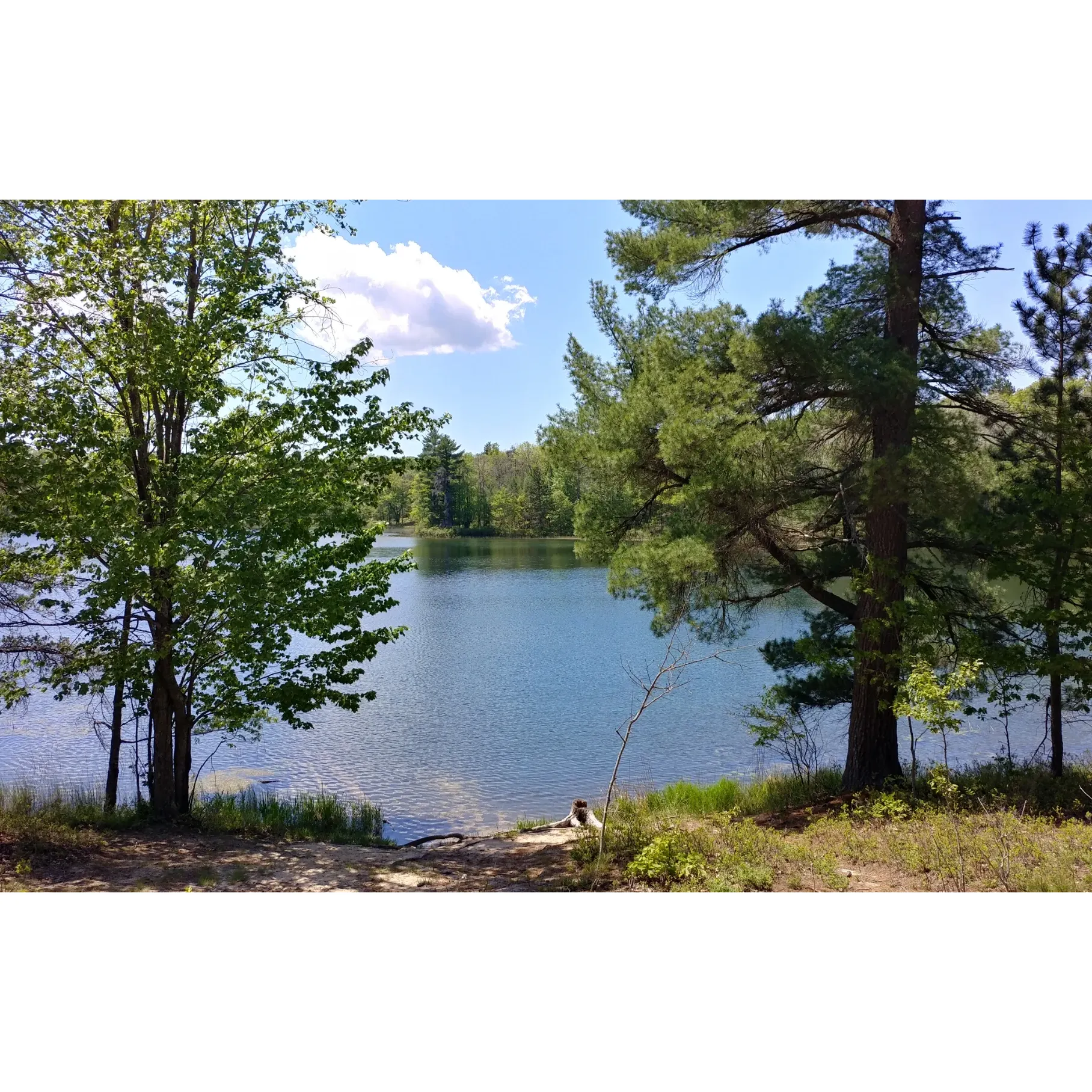 Discover a tranquil escape at Town Corner Lake State Forest Campground, an enchanting wilderness retreat offering a serene connection with nature. This picturesque destination boasts a collection of charming, secluded campsites that cater to those seeking a peaceful setting for relaxation and reflection. Perfect for tent camping, each site provides an authentic rustic feel that allows adventurers to immerse themselves fully in the great outdoors.

Guests at Town Corner Lake State Forest Campground are often captivated by the beautiful surroundings, where each campsite becomes a private haven amidst the forest’s embrace. Nature enthusiasts and avid campers alike find solace in the simplicity and beauty of the area, making it an ideal spot for unwinding and recharging away from the bustle of daily life.

The campground serves as an accessible base for exploring the surrounding wilderness, with close proximity to walking trails that beckon hikers of all levels. These trails wind through the scenic landscape, leading to enchanting vistas and wildlife viewing areas such as the nearby elk food plot, where the majesty of these creatures can be appreciated in their natural habitat.

Town Corner Lake State Forest Campground is a cherished destination for those who honor the rugged beauty of undisturbed nature and who find joy in the subtle whispers of the forest. Here, the soothing sounds of the environment offer a harmonious soundtrack to a restful getaway, where memories are waiting to be made under the canopy of stars. Whether seeking solitude or an outdoor adventure, this campground provides the perfect setting to reconnect with the earth and experience the peaceful side of wilderness camping. Description by ChatGPT.