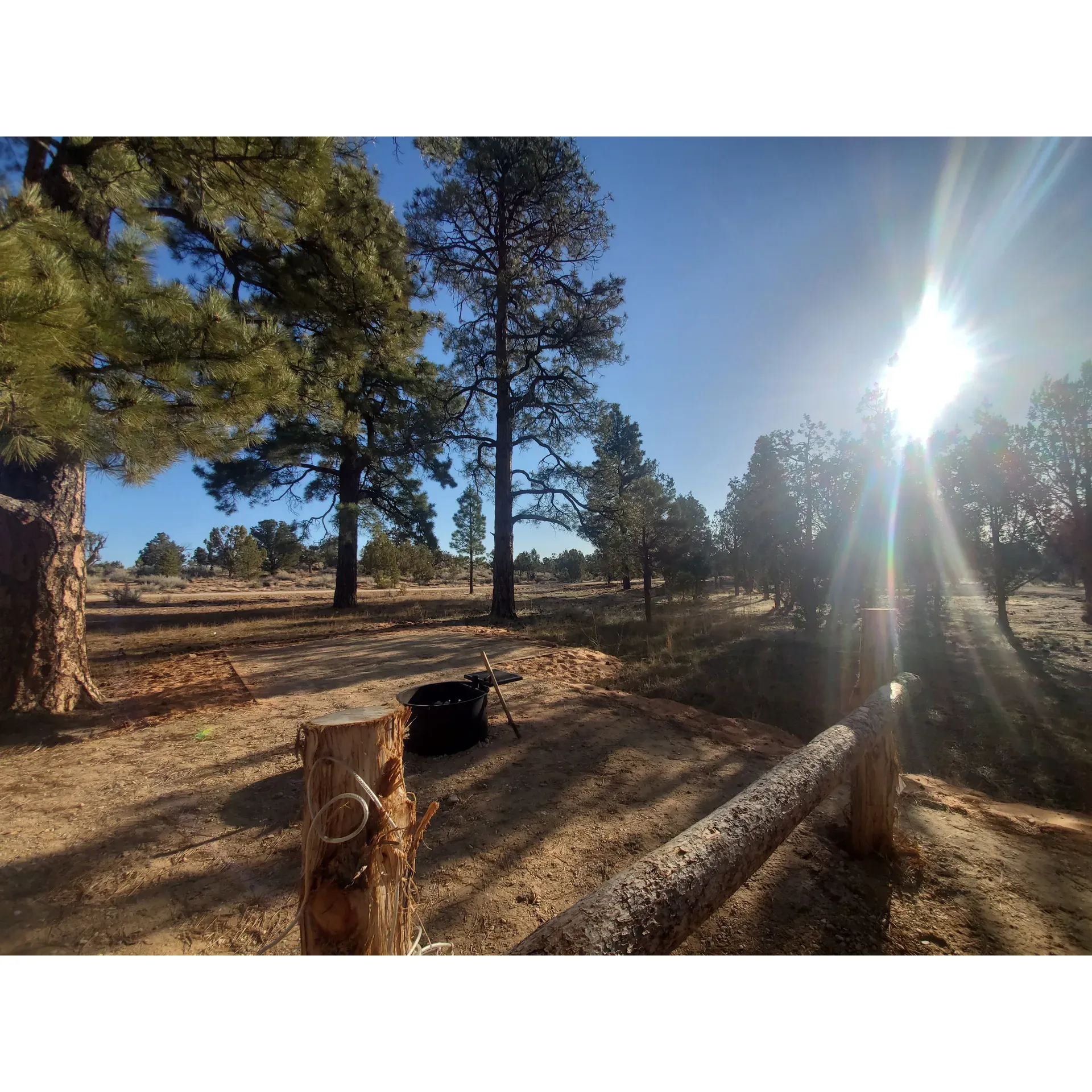 Ponderosa Grove Campground offers an idyllic escape for outdoor lovers seeking a peaceful retreat under the stars. Visitors rave about the level and soft terrain of the tent sites, providing an optimally comfortable camping experience free from the discomfort of rocky grounds. Tranquility envelops the area as evening falls, making it a delightful sanctuary for those looking to enjoy the serenity of nature and a spectacular celestial show overhead.

Strategically located, the campground presents a prime location for adventure-seekers, with nearby hiking trails that promise to fulfill the desires of avid trekkers. Those who favor leisurely strolls can delight in the picturesque walks that begin right at the campground's doorstep, particularly in the more secluded back areas where the sounds of the surrounding environment overshadow the hum of distant vehicles.

Affordability is a key feature of Ponderosa Grove, particularly for those drawn to the majestic sand dunes. Whether opting for a spot with an RV or pitching a tent, guests appreciate the flat sites that make setting up camp a breeze. The campground is well-equipped with fire pits and picnic tables, adding a touch of convenience and comfort to the outdoor experience. Visitors are encouraged to self-cater, given the absence of water facilities, adding a rustic charm to the camping adventure.

Cleanliness and attention to detail are evident throughout the campground, where families can enjoy a large fenced-in area ensuring a safe and tidy environment for both picnicking and extended stays. Every camping spot, shaded or sunny, is accompanied by sizable picnic tables, and guests are reminded to maintain the pristine condition of the site by bringing trash bags and utilizing the available dumpsters.

The breathtaking views from the campground remain unspoiled even during the high season, offering a sense of seclusion and intimacy with nature. The well-maintained pads and pull-throughs ensure accessibility and ease for campers. While the summer nights might be warm, the cooler temperatures of the fall promise a more temperate and comfortable outdoor experience.

Ponderosa Grove Campground encourages a self-sufficient stay, complemented by pit toilets that are regularly cleaned and maintained. Guests are given a gentle heads-up about the natural presence of wildlife and insects, inviting a sense of mindfulness and precaution that comes with the authentic wilderness experience.

Overall, Ponderosa Grove Campground presents a picturesque haven for those looking to immerse themselves in the great outdoors, bask in the beauty of nature, and create unforgettable memories amidst the adventure and quietude of the scenic surroundings. Description by ChatGPT.