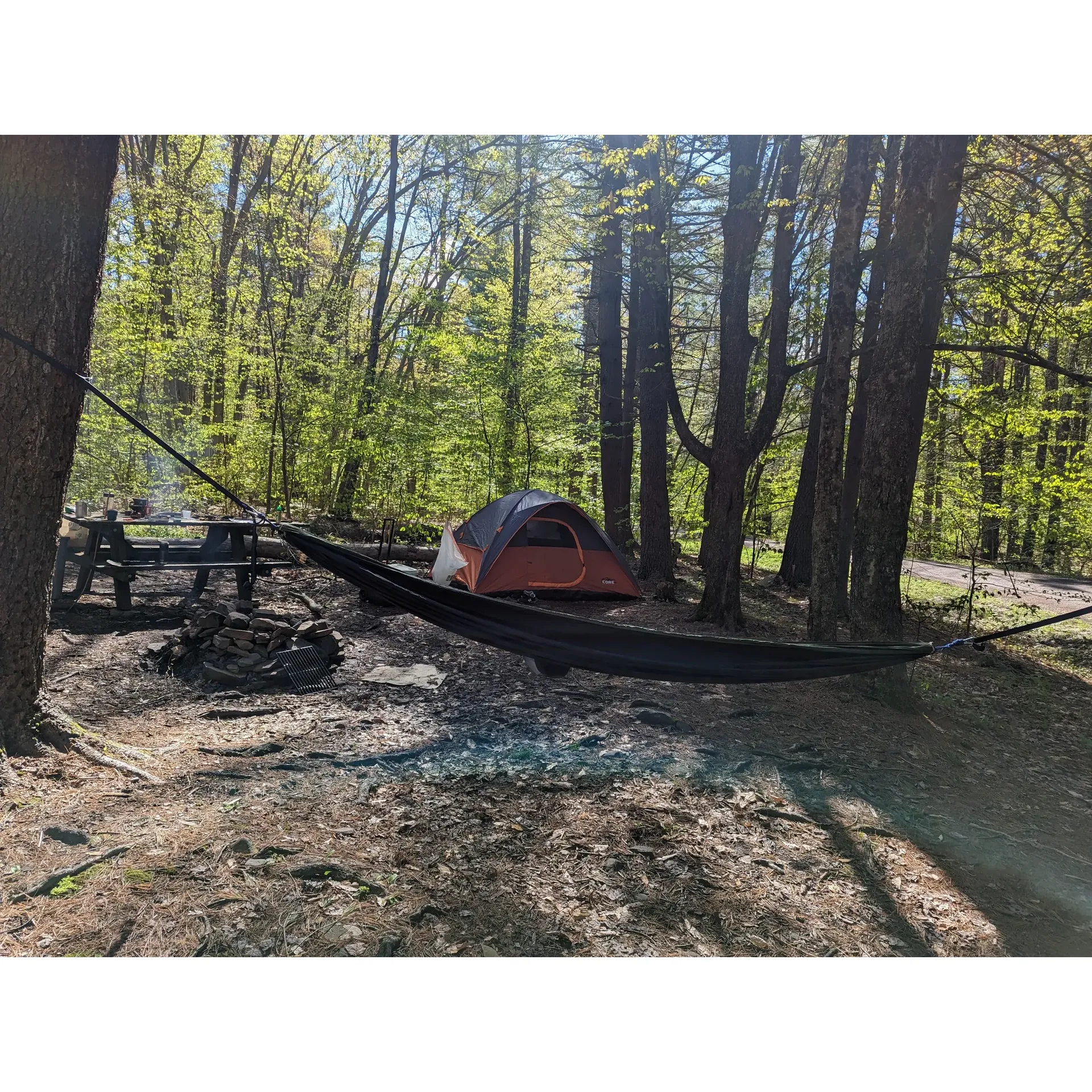 Allaben Campground offers an exceptional outdoor experience for campers looking to immerse themselves in the splendor of nature while enjoying the basic comforts of a well-maintained campsite. Boasting an ample array of camping spots, some of which are spacious enough for sharing, this campground caters to both first-time primitive campers and seasoned adventurers alike. 

Each private campsite is equipped with a dedicated fire pit, allowing visitors to gather around a warm blaze, cook meals, or simply enjoy the ambient glow under the stars. The convenience of this campground makes it an ideal stopover for early risers aiming to tackle nearby trails such as the ascent up Hunter Mountain, or those embarking on a longer backpacking journey.

Even in the embrace of the elements, Allaben Campground maintains cleanliness and order, with facilities such as portapotties praised for their upkeep. The campground also serves as an excellent winter base camp for outdoor enthusiasts ticking off their hiking or backpacking lists.

Above all, the Allaben Campground prides itself on offering a sense of seclusion and a private retreat from the everyday hustle, ensuring a tranquil and memorable camping experience. Whether drawn by the promise of adventure or the simple pleasure of a night spent in the wilderness, Allaben Campground is a place visitors look forward to returning to, season after season. Description by ChatGPT.