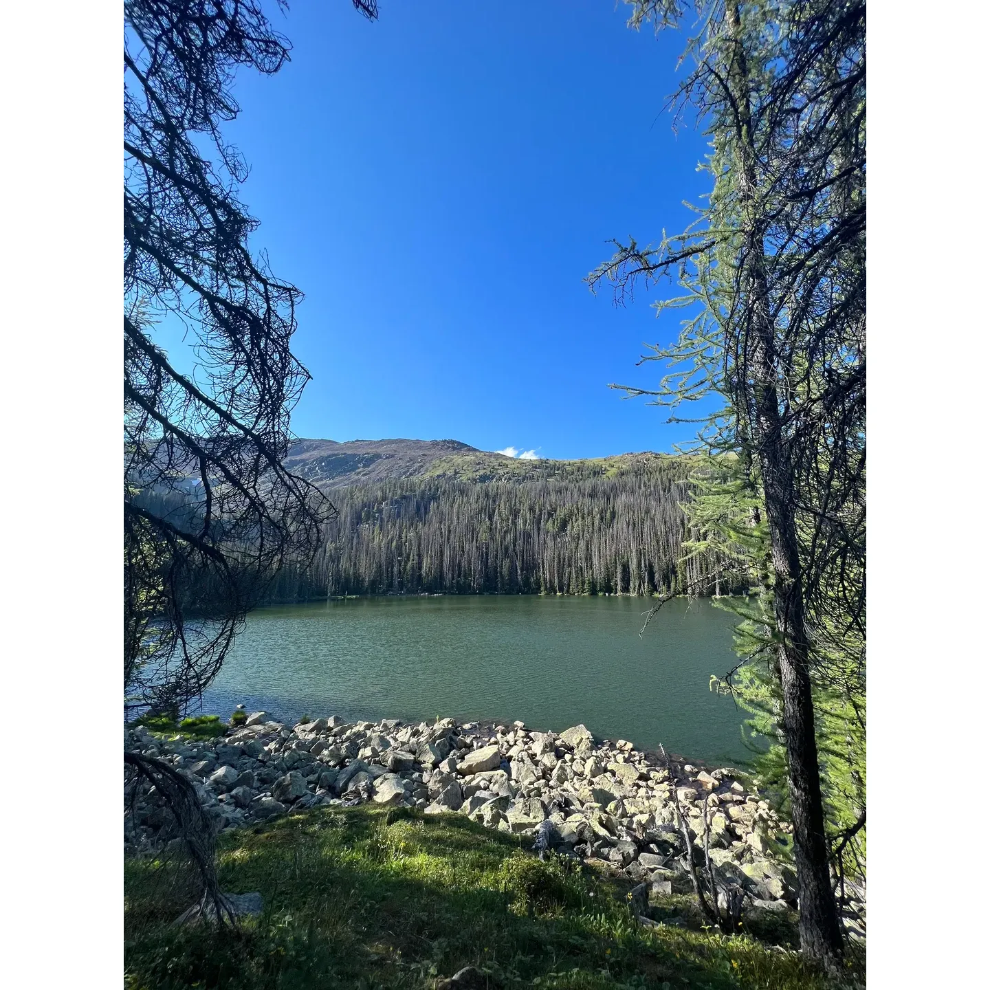 Quiniscoe Lake Campground offers outdoor enthusiasts a serene and picturesque retreat in the heart of nature's splendor. The campground boasts an array of impeccably maintained tent sites, each offering a unique vantage point to soak in the surrounding beauty. With the vigilant presence of an on-site ranger ensuring the highest standards of cleanliness and safety, visitors can rest easy and enjoy their stay.

The outhouses at the campground are remarkable for their cleanliness, thanks to the daily attention they receive from the dedicated ranger. This emphasis on hygiene adds to the comfort and convenience of the camping experience.

One of the site's most notable features is a natural water tap, providing refreshing glacier lake water directly to campers. This pristine source of hydration is not just convenient but also enhances the natural, off-the-grid living experience.

The campground serves as an ideal base for adventurers looking to explore the abundant natural attractions the region offers. A multitude of breathtaking hikes beckon, leading to majestic mountains and tranquil lakes that promise unforgettable vistas and the chance to reconnect with nature.

Adding to the allure, the nearby lodge is conveniently located just a 5-minute walk away, offering additional amenities and a welcoming atmosphere for visitors to gather and share stories of their explorations.

Wildlife enthusiasts will delight in the frequent sightings of mountain goats and deer that roam the area, often visible right from the comfort of your tent site. These peaceful encounters with wildlife serve to remind visitors of the harmony that exists between the campground and the untouched wilderness that surrounds it.

Quiniscoe Lake Campground is not just a place to stay—it's a destination where natural beauty, wildlife, and outdoor adventure come together to create a truly memorable camping experience. Description by ChatGPT.