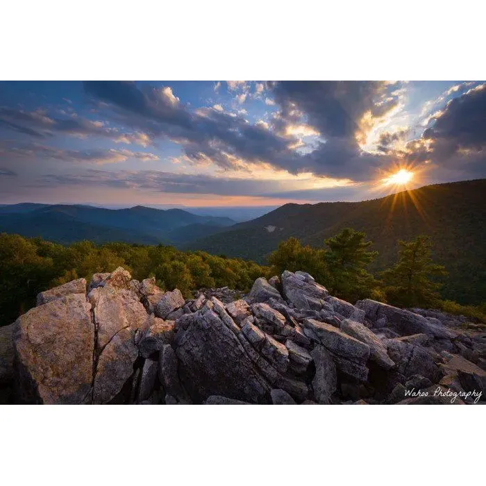 Discover the serene beauty and boundless adventures at Shenandoah National Park, an extraordinary destination for nature enthusiasts and outdoor adventurers alike. The park is a treasure trove for hikers, with over 500 miles of trails that cater to both the novice and the seasoned trekker. Among these trails, you'll find 101 miles of the famous Appalachian Trail waiting to be explored.

The Skyline Drive is the park's crown jewel, offering a spectacular journey with countless overlooks that present panoramic views of Virginia's rolling hills and picturesque valleys. Cyclists and motorists alike revel in this scenic route, where smooth roads guide you through a hypnotic landscape.

Nature lovers will revel in the park's thriving wildlife. The park offers a chance to spot diverse avian species and deer meandering through the meadows. Visit in the fall to witness a mesmerizing tapestry of autumn colors blanketing the mountains, an experience that's both visually stunning and soul-soothing.

If you're looking for a family-friendly outing, Shenandoah has ample picnic areas and playgrounds ideal for a leisurely day out with children. Dog owners will be pleased to find pet-friendly trails and accommodations, ensuring that the entire family, including four-legged members, can enjoy the expansive beauty of the park.

An array of engaging activities like star-gazing events captivate visitors with some of the clearest night skies, perfect for making celestial discoveries amid the tranquil backdrop of Big Meadows.

The park's commitment to education is evident at the Big Meadows Visitor Center, where engaging ranger programs offer valuable insights into the rich tapestry of the region's natural and historical heritage.

Affordability and accessibility are also part of Shenandoah's charm, with Active Duty military families receiving complimentary access to the park's myriad offerings.

Whether you're seeking a brief respite or an extended adventure, every visit to Shenandoah National Park promises a gallery of vivid memories and the joy of the great outdoors waiting to be cherished. This enchanting haven is more than just a park; it's a gateway to experiences that will enrich your spirit and leave you longing to return. Description by ChatGPT.