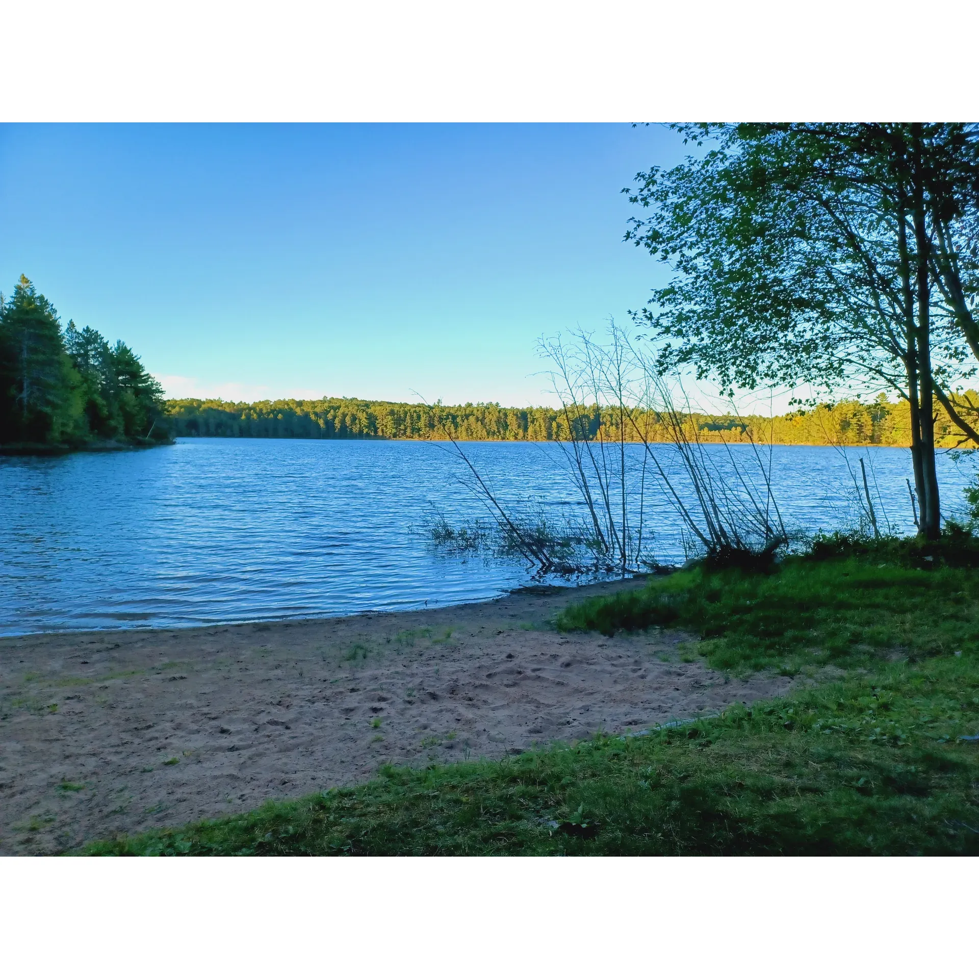 Starrett Lake Campground is a cherished retreat for those seeking a serene camping experience in the heart of the Northern Highland American Legion forest. This campground is celebrated for the tranquility it offers, where the only sounds to accompany your stay are the whispers of nature and the gentle lapping of the lake's waters. With its commitment to preserving a peaceful atmosphere, Starrett Lake Campground is a designated quiet zone free from the hum of generators, encouraging a genuine, unplugged outdoor adventure.

Boasting well-maintained and newer restroom facilities, visitors can enjoy the comforts of cleanliness and convenience amidst the rustic surroundings. The camp hosts receive consistent praise for their warm, industrious, and knowledgeable presence, making campers feel both welcome and well-informed.

For water enthusiasts, the campground presents an idyllic lakeside setting with a pristine lake that invites campers to indulge in swimming, fishing, or simply relaxing by the water's edge. The lake caters to electric motors and self-propelled crafts, ensuring a noise-free environment that enhances the peaceful enjoyment of all guests.

The campsites themselves are thoughtfully spaced, offering privacy and room to breathe in the fresh forest air. The allure of Starrett Lake Campground is further encapsulated by its three coveted walk-in sites, which are a tent camper's dream, providing an intimate and immersive nature experience.

Strategically located within a short distance of a range of other intriguing WDNR properties, the campground serves as a perfect base for exploring the wider region's natural beauty. Visitors return year after year, drawn by the promise of a quiet and relaxing weekend away from the bustle of daily life. With high recommendations and a community of respectful campers, Starrett Lake Campground stands as a shining example of Camping with a capital C. Description by ChatGPT.