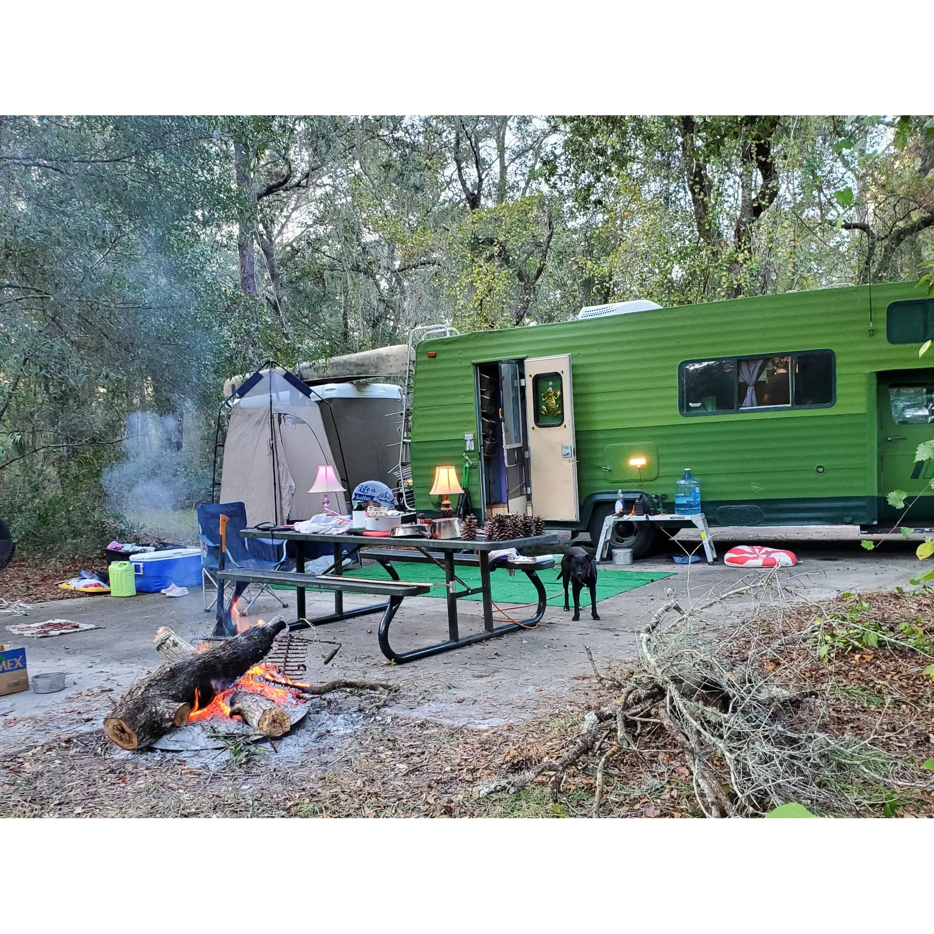 Big Bass Campground offers a serene outdoor escape with expansive and well-maintained camping sites perfect for all nature enthusiasts. With a close proximity to Ocala National Forest, the campground is a preferred starting point for guests wishing to explore the diverse floristic richness of the region. Campers have the opportunity to revel in the splendor of the wilderness on sprawling, large level sites that provide ample space for setting up the perfect outdoor dwelling.

Outdoor adventurers will be delighted to learn about available horse trails that double as excellent hiking paths to explore the scenic landscape. The availability of good water facilities ensures that all campers’ needs are met for hydration, cooking, and cleaning.

Beyond the natural allure, the campground prides itself on having a hospitable and helpful host, often noted for going above and beyond to ensure guests have a pleasant stay. The care and attention to detail are evident, with campers commending the cleanliness of restrooms and the continual efforts to upgrade the grounds.

Additionally, Big Bass Campground is lauded for the affordability of its sites, with prices that cater to budget-savvy travelers. The convenience of being within easy reach of all essential amenities makes this campground a smart choice for those seeking a quiet and enjoyable camping experience.

Adding to the recreational possibilities, Big Bass Campground is situated in an ideal spot for those keen on exploring trails on ATV, dirt bikes, or horseback, providing a range of exciting activities for the avid adventurer.

For peace, comfort, and affordability, Big Bass Campground represents a compelling choice for campers looking for an idyllic nature getaway amidst the tranquility of the great outdoors. Description by ChatGPT.