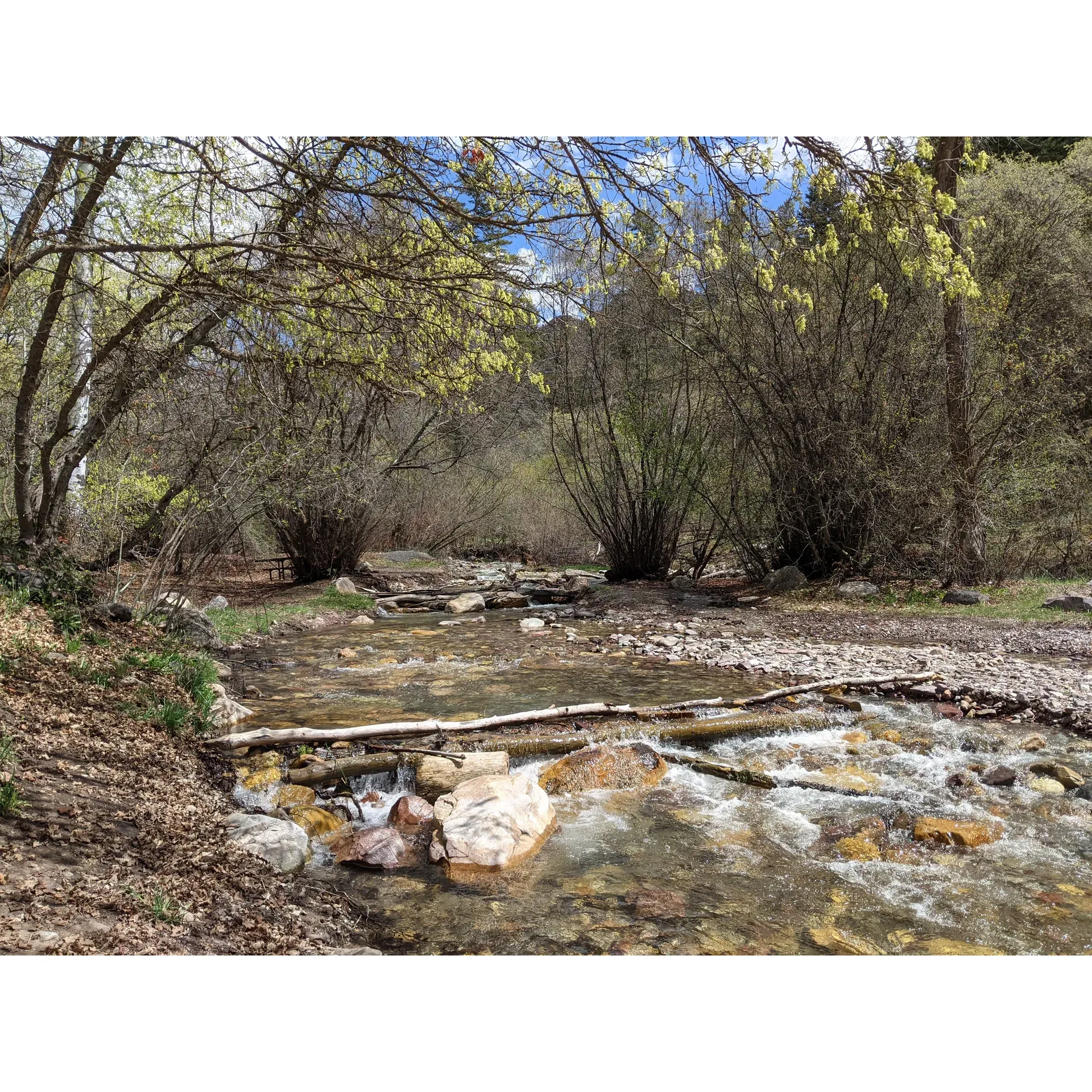 High Creek Campground offers an enchanting wilderness escape, an ideal destination for those looking to immerse themselves in nature's splendor. Tucked away in a scenic canyon, the campground presents a picturesque setting where the beauty unfolds with each view. Visitors are captivated by the crystal-clear river that meanders right by the camp, offering a serene soundtrack to the outdoor experience, with the soothing sounds of the flowing waters enhancing the tranquil ambiance.

The camp boasts spacious sites, providing ample room for large family gatherings or groups seeking an outdoor adventure together. Here, guests can revel in the openness of the great outdoors while still having plenty of personal space to enjoy their natural surroundings.

Nature lovers will delight in the rich biodiversity, as High Creek Campground is a haven for wildlife enthusiasts. With an array of birds serenading from the canopy and butterflies dancing through the air, the campground is bursting with life and opportunities for wildlife observation.

For those who appreciate the simple pleasures of rustic camping, there's a conveniently located pit toilet, maintaining the area's natural feel. With only a handful of campsites, this treasured spot retains an exclusive and intimate atmosphere, perfect for unwinding and reconnecting with the earth.

Whether you're looking to relax in the awe-inspiring landscapes, share laughter with loved ones under the stars, or simply find solitude in a beautiful canyon, High Creek Campground is a captivating destination that promises memorable outdoor experiences. Description by ChatGPT.