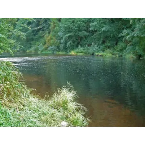 Fawn Creek Campground is a revered outdoor retreat that offers adventure seekers and nature enthusiasts an unforgettable experience. Boasting pristine waterfront sites, this campground provides an idyllic setting for a wide array of water activities and the simple joy of leisurely lakeside relaxation. Recognized for its immaculate facilities, guests are consistently impressed by the cleanliness and well-maintained grounds, ensuring a comfortable and worry-free stay.

The sprawling landscape is characterized by its scenic, natural beauty, providing a picturesque backdrop perfect for photography, bird watching, or settling down with a good book. Whether pitching a tent under the stars or parking an RV, visitors to Fawn Creek Campground are greeted with spacious sites and easy access to the water's edge. 

Complete with modern amenities that blend seamlessly into the wilderness experience, families, solo travelers, and groups alike have access to all they need for a memorable outing. Strategically located fire pits enhance the sense of community as campers gather to share stories and roast marshmallows under the clear night sky.

Fawn Creek Campground continually receives accolades for its customer service, as the friendly and attentive staff go above and beyond to ensure guests have an enjoyable stay. The campground's tranquil setting serves as the perfect getaway for those looking to escape the hustle and bustle of daily life, fostering a relaxing atmosphere where time seems to slow down.

Whether you're an avid angler, a paddle enthusiast, or simply someone in search of peace and tranquility, Fawn Creek Campground is a premier choice that comes highly recommended for a delightful camping experience by the water. Description by ChatGPT.