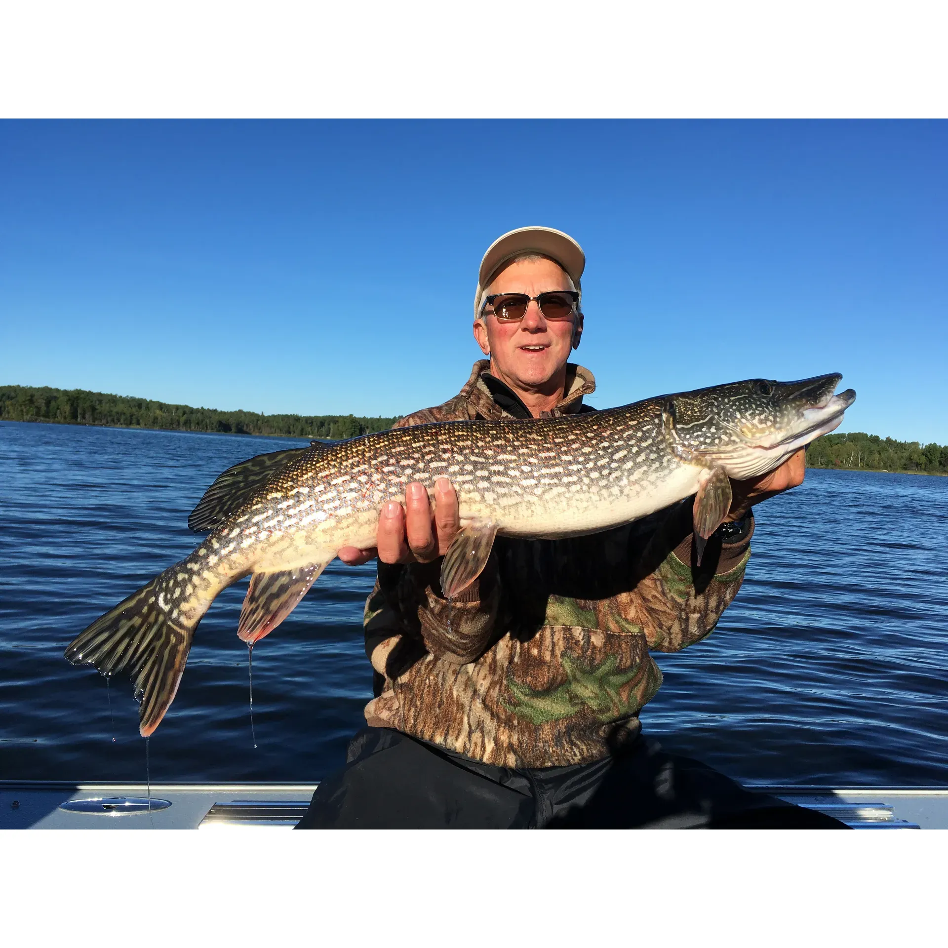 Camp Narrows Lodge, situated on the majestic Rainy Lake, offers an unparalleled outdoor experience where anglers and hunters alike can revel in the wilderness. Boasting a cornucopia of wildlife, guests consistently return with tales of triumphant bear, duck, and grouse hunts. The waters are brimming with an extraordinary variety of fish, where the sheer abundance of smelt results in impressively sized catches - walleyes, pikes, smallmouth bass, and crappies can all be found here, tipping the scales at remarkable weights.

This idyllic fishing haven not only provides the thrill of the catch but also exudes a homely charm that sees guests referring to their stays as akin to a family gathering, all thanks to the warm and personable approach of host Tom and his team. Positioned a short 40-minute journey from the border, convenience is as much a part of the Camp Narrows offering as is the thrill of the outdoors.

Accommodations at Camp Narrows embrace the rustic allure of the lake with their newly renovated cabins, offering a testament to comfort and serenity. The balance between modern conveniences and an authentic lodge experience is struck beautifully, ensuring guests enjoy the natural splendor of 'sunset country' Ontario without sacrificing on comfort. These waterside cabins provide direct dock access, inviting anglers to step straight into a day of exceptional fishing.

A welcoming and cheerful staff greets guests year after year, many of whom are marking over a decade of regular visits, drawn by the alluring combination of breathtaking fall fishing and genuinely attentive service. The ethos here leans towards conservation and responsible leisure, encouraging visitors to engage with the beautiful environment mindfully to preserve its wonders for future generations.

Newcomers and seasoned visitors alike hold the lodge in high esteem, often highlighting the caliber of amenities that surpass expectations – modern showers, functional kitchens, and cozy beds. The lodge's location amplifies this sense of comfort, offering a serene setting where visitors can enjoy the sights and sounds of the lake, making each stay not just a vacation but a repository of cherished lifelong memories.

Camp Narrows Lodge, through its exceptional staff, scenic beauty, and commitment to guest satisfaction, has indeed become a favored destination for those seeking a pristine fishing and hunting retreat on Rainy Lake. Whether returning or discovering it for the first time, visitors leave with a sense of fulfillment and an eagerness to return to what many consider the nicest "remote" sanctuary in the region. Description by ChatGPT.