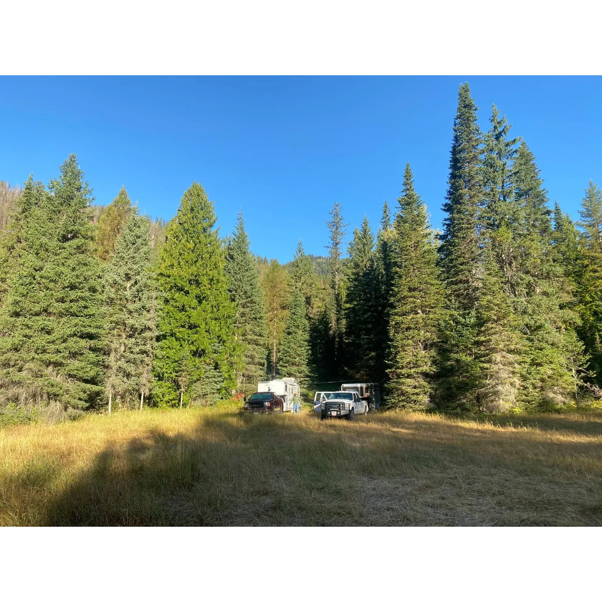 Clarence Creek Campground offers outdoor enthusiasts an idyllic retreat with a mix of modern convenience and rustic charm. The grounds feature a select number of improved campsites, each equipped with a sturdy fire ring and a comfortable picnic table, perfect for gathering around a crackling fire or enjoying a scenic outdoor meal. For added convenience, a well-maintained pit toilet is available to cater to the needs of campers.

Expansive and inviting, the campground also boasts a generous area for dispersed camping, which pays homage to its historical roots as the old Clarence Creek Guard Station, allowing visitors a chance to connect with the area's heritage. Enveloped by the tranquility of nature, campers can delight in the soothing ambiance created by the gentle flow of a small creek that runs to the east of the campground, with the namesake Clarence Creek just a bit farther out, offering a serene backdrop for hikers and nature lovers.

The picturesque setting makes it an ideal spot for individuals and families alike to unplug from the bustle of daily life and engage in a variety of outdoor activities such as hiking, fishing, and stargazing under the clear night sky. Turn your camping trip into a memorable excursion at Clarence Creek Campground, where the beauty of nature meets the comforts of home. Description by ChatGPT.