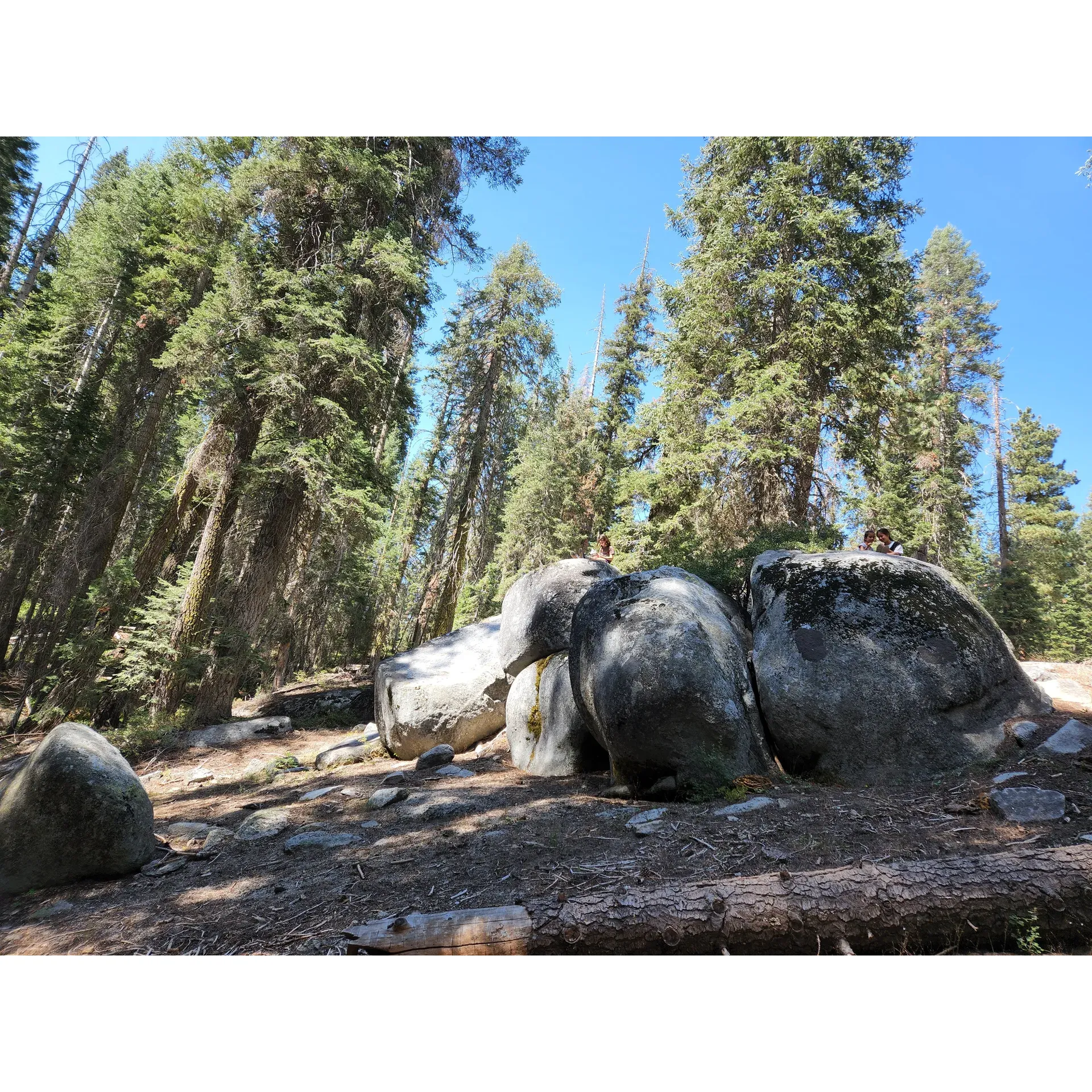 Cove Group Campground, located in the tranquil heart of Sequoia National Park, offers an unrivaled outdoor experience for visitors looking to immerse themselves in the beauty of towering forests and an abundance of wildlife. Renowned as one of the premier destinations for group outings, this expansive campground is a magnet for families and friends seeking to create lasting memories in a serene, private setting.

Just a stone's throw from the park's General Store, the campground affords guests the convenience of nearby amenities like ice and groceries, ensuring that all your necessities are covered. With the added bonus of shower facilities in close proximity, campers can enjoy the rustling freshness of the wilderness while still being able to refresh and rejuvenate with ease.

The spacious grounds offer ample area for comfortable camping, whether you're pitching tents or parking RVs. Visitors revel in the chance to spot local wildlife that frequents the area, including birds, chipmunks, and graceful deer that roam amidst the majestic scenery.

For stargazers and night sky aficionados, Cove Group Campground is a slice of paradise. The crystal-clear skies free from urban light pollution open a window to the cosmos, allowing guests to gaze upon the Milky Way and celestial wonders in what can be described as "Dark Sky Sequoia."

Overall, Cove Group Campground secures its reputation as an exceptional location for those longing to connect with nature, bond with loved ones and enjoy the simplicity of outdoor living, all within the storied landscape of Sequoia National Park. Whether you're gathering for a joyous family reunion, an adventure with friends, or simply a peaceful retreat surrounded by the gentle whispers of nature, Cove Group Campground promises an experience that is both comfortable and truly enchanting. Description by ChatGPT.