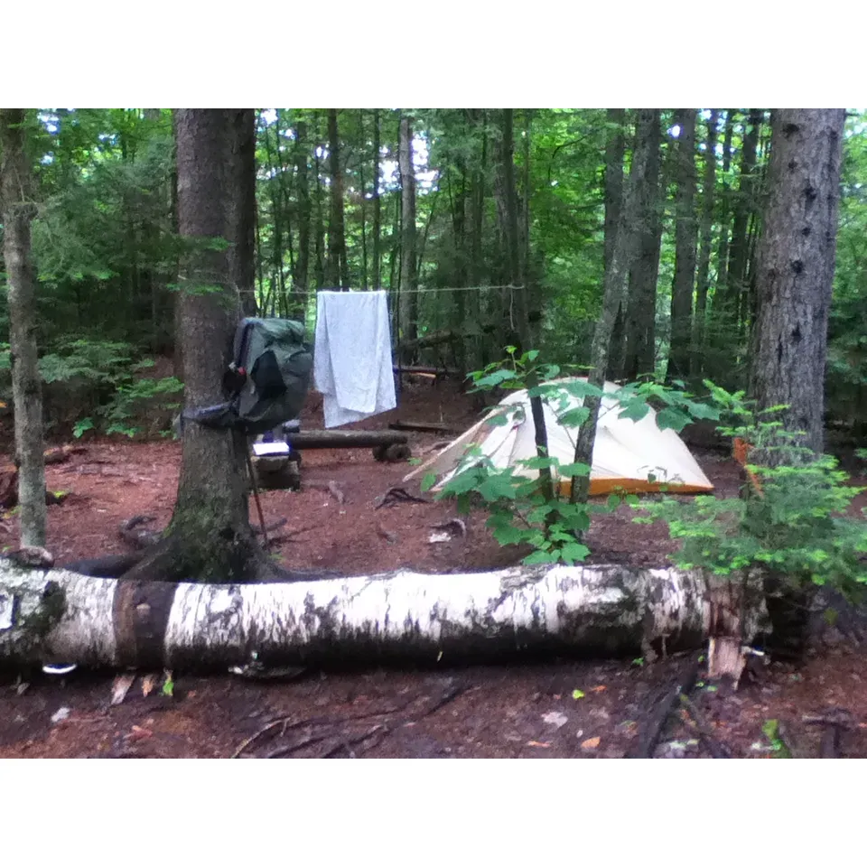 Cranberry Stream Campsite offers an idyllic setting for outdoor enthusiasts seeking serene surroundings, untouched nature, and a true back-to-nature camping experience. Set amidst a beautiful landscape, this campsite boasts crystal-clear streams and a lush forest canopy that provides ample shade and a sense of seclusion.

Recent visitors to Cranberry Stream Campsite have been thrilled with the addition of a new, modern privy that was introduced in early September 2023, enhancing the comfort and convenience of their stay. This update is a nod to the campsite's commitment to continuously improving facilities while maintaining the rustic charm that guests love.

Campers praise the spaciousness of the site, allowing for large tents and a cozy campfire area, which becomes the heart of the camping experience as the stars emerge in the clear night sky. The well-defined, scenic hiking trails that surround the campsite draw adventurers looking to immerse themselves in the wilderness, with many highlighting the joy of stumbling upon various wildlife and the soothing sounds of the nearby stream.

Impeccably maintained grounds are a common theme in guest reviews, with the campsite staff garnering compliments for their dedication to preserving the natural beauty and cleanliness of the area. It's an ideal setting for families, friends, or solo travelers who seek a peaceful retreat.

Cranberry Stream Campsite has been recognized for its relaxed atmosphere, where the rush of urban life fades into the background. Campers often note the palpable tranquility that accompanies a stay here, creating the perfect environment for unplugging, unwinding, and reconnecting with nature. Description by ChatGPT.