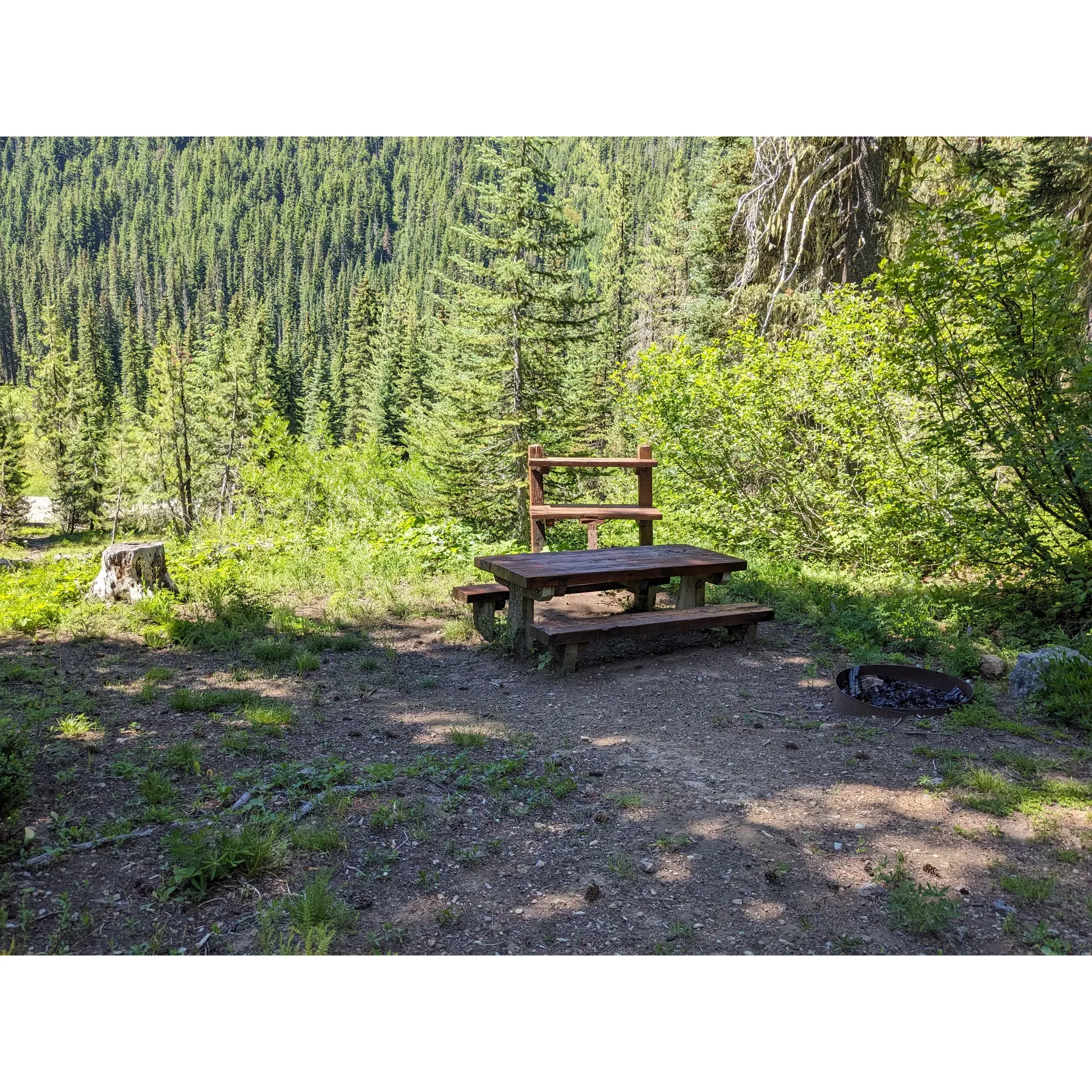 Fish Lake Campground offers the quintessential outdoor experience for adventurers seeking a serene getaway amidst majestic natural landscapes. This hidden gem is an 11-mile drive beyond the Salmon La Sac Campground, accessed via the rustic Forest Road 4330. The route is a scenic adventure in itself, winding through a backdrop of lush forestry and inviting guests to traverse a gravel path and ford a small water crossing.

Upon arrival, visitors are greeted by five spacious campsites, carefully laid out to ensure privacy and tranquility. Each provided site comes equipped with a fire ring and a picnic table, while select spots feature additional meal prep tables, enhancing the outdoor living experience. Activities abound with opportunities to immerse oneself in the pristine beauty of the surroundings. For those who enjoy water sports, the nearby lake and river present endless possibilities for floating and fishing, or even cliff jumping for the thrill-seekers at heart.

The rugged charm of Fish Lake Campground encourages a simplistic approach to camping, with walk-in sites that enhance the connection with nature. While vehicles can be kept at the site, the untouched essence of the area remains. A vault toilet is readily available for basic necessities and serves as a reminder of the campground's commitment to maintaining an authentic outdoor experience.

Wildlife flourishes here, with blooming flowers and verdant trees that play host to a modest population of local mosquitoes – a small reminder of the thriving ecosystem. And while amenities are few, with the closest bathroom needing a short drive, it's a testament to the campground's unspoiled character.

Perhaps the most enchanting times are as the sun sets when the curtain of daylight fades to reveal a grand theater of stars. The absence of light pollution allows campers to gaze into the spectacular celestial show above, creating a perfect setting for unforgettable memories.

For anyone who chooses to venture this far, the reward is a harmonious retreat from the everyday hustle. Fish Lake Campground is a sanctuary where the journey is part of the destination, a place to reconnect with nature, and to make lasting memories under the expansive and awe-inspiring mountain skies. Description by ChatGPT.