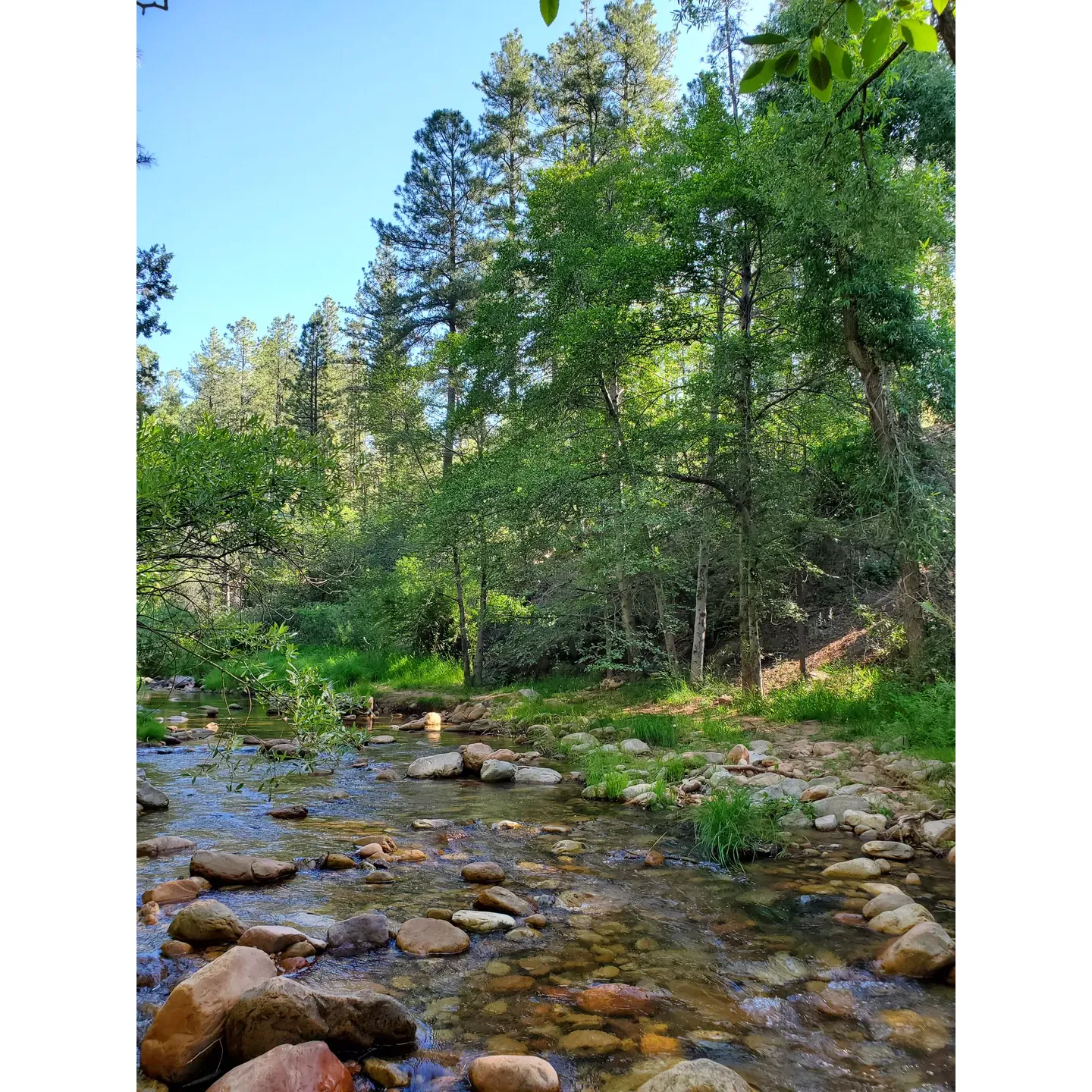 Lower Tonto Creek Campground offers an inviting retreat for outdoor enthusiasts looking to bask in the serenity of nature and the gentle sounds of the nearby river. This picturesque destination ensures a memorable stay, surrounded by the beauty of pristine landscapes. Visitors are welcomed by well-maintained facilities including clean restrooms that reflect the campground's commitment to comfort even in the rustic settings.

The campsite boasts spacious plots that afford visitors the luxury of privacy and ample room to set up camp. With better parking options, it's a breeze for campers to arrive and settle in with their gear. The scenic area is also a photographer's delight, offering clear night skies that make for stunning celestial photography, as showcased in visitor-shared images.

Conveniently equipped with hiking trails, the campground promises adventure and exploration for those seeking to stretch their legs and discover the local flora and fauna. After a trek through the landscape, guests can enjoy the available picnic area, creating the perfect spot for a leisurely lunch amidst the scenic backdrop.

For those traveling with pets, Lower Tonto Creek Campground is a great choice, providing a welcoming space to walk the dog and embrace the great outdoors together. Furthermore, the campground's cleanliness and orderly upkeep ensure a tidy environment where nature's charm is preserved and highlighted.

Visitors may also take delight in the unique sights of cows grazing in the surroundings, adding a pastoral touch to the natural vistas. And for enthusiasts of freshwater angling, the nearby trout farm offers a charming excursion, enhancing the overall outdoor experience.

Whether you're passing through for a day trip or looking to unwind for a longer stay by the riverside, Lower Tonto Creek Campground is a delightful haven for those who appreciate the great outdoors presented with care and attention to detail, all awaiting your next escape into nature's embrace. Description by ChatGPT.