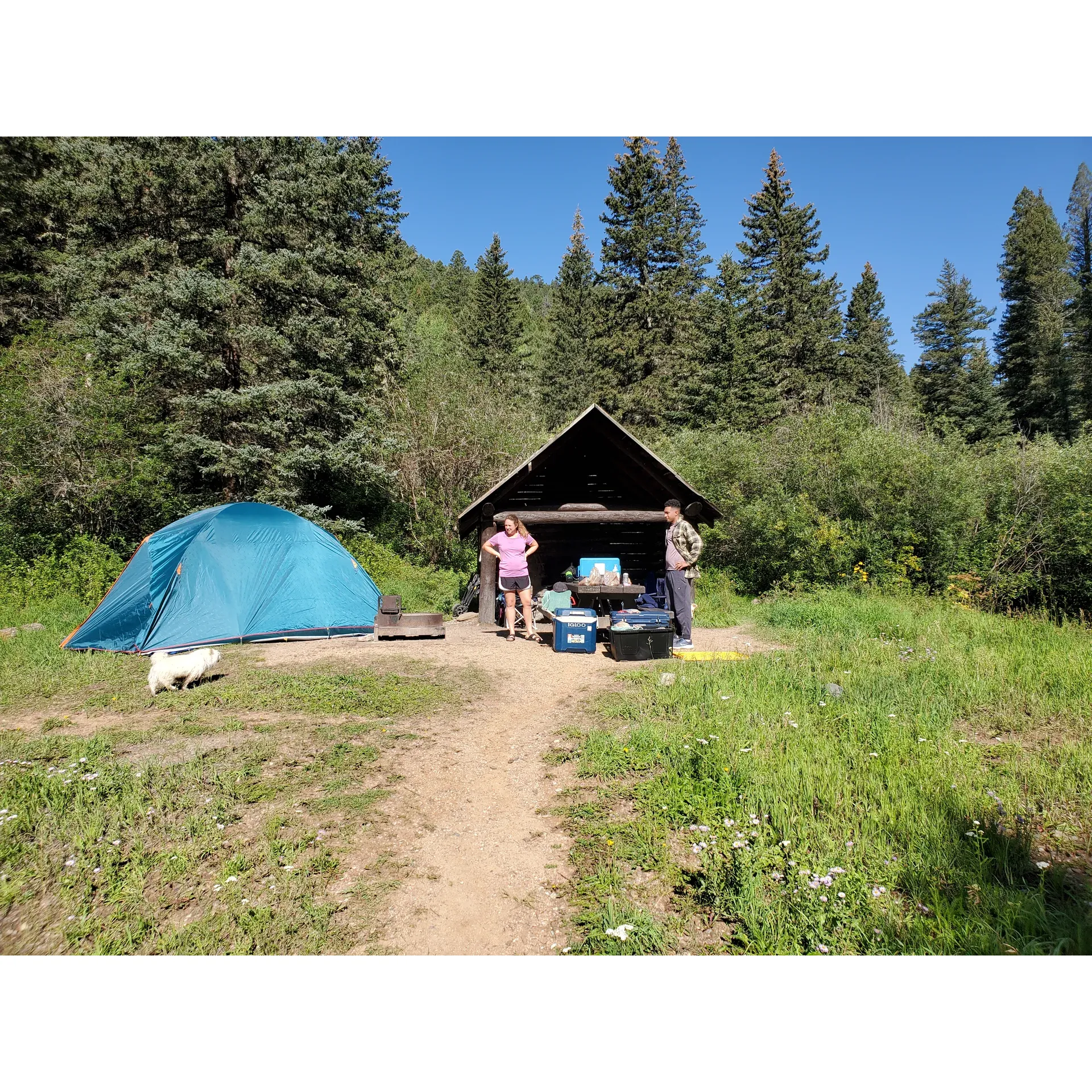 Discover a tranquil retreat for day-use adventurers and camping enthusiasts alike at Panchuela Trailhead. This charming gateway to nature's bounty offers an eclectic mix of breathtaking views, intriguing geological formations, and rich historical significance. Lush with abundant wildflowers and vibrant green landscapes at the peak of the seasons, the trails invite hikers to immerse themselves in the beauty of the great outdoors.

After embarking on a scenic 2.3-mile trek from the trailhead, explorers are rewarded with the awe-inspiring sight of majestic caves, a highlight of the journey that leaves visitors in wonder. The gentle waters of the creek provide a refreshing midpoint challenge, easily traversable by those seeking a modest dose of adventure. For those aiming to extend their exploration, Johnson Lake awaits, offering a serene destination for further discovery.

Friendly and welcoming campground hosts add to the pleasant experience at Panchuela Trailhead, ensuring each visitor feels right at home amidst the natural splendor. History enthusiasts will appreciate the trail's proximity to Dr. Oppenheimer's family cabin, adding a touch of intrigue as they witness a slice of scientific heritage from a respectful distance.

The site presents the perfect blend of ease and excitement for families, with Trail 288 promising an accessible yet rewarding hike that unfurls the rugged beauty of the caves nestled at specific coordinates. While the elevation here is forgiving, the panoramic views are anything but modest.

Experiencing the seasonal tapestry of changing leaves provides an especially enchanting visit, as the landscape transforms into a vivid display of fall colors. Set deep in the heart of New Mexico, the trek to Panchuela Trailhead is as mesmerizing as the destination itself, offering a picturesque drive through some of the state's finest backdrops.

Panchuela Trailhead beckons all who seek to reconnect with nature, embrace adventure, and create lasting memories amidst the expansive splendor of the Pecos wilderness. Description by ChatGPT.