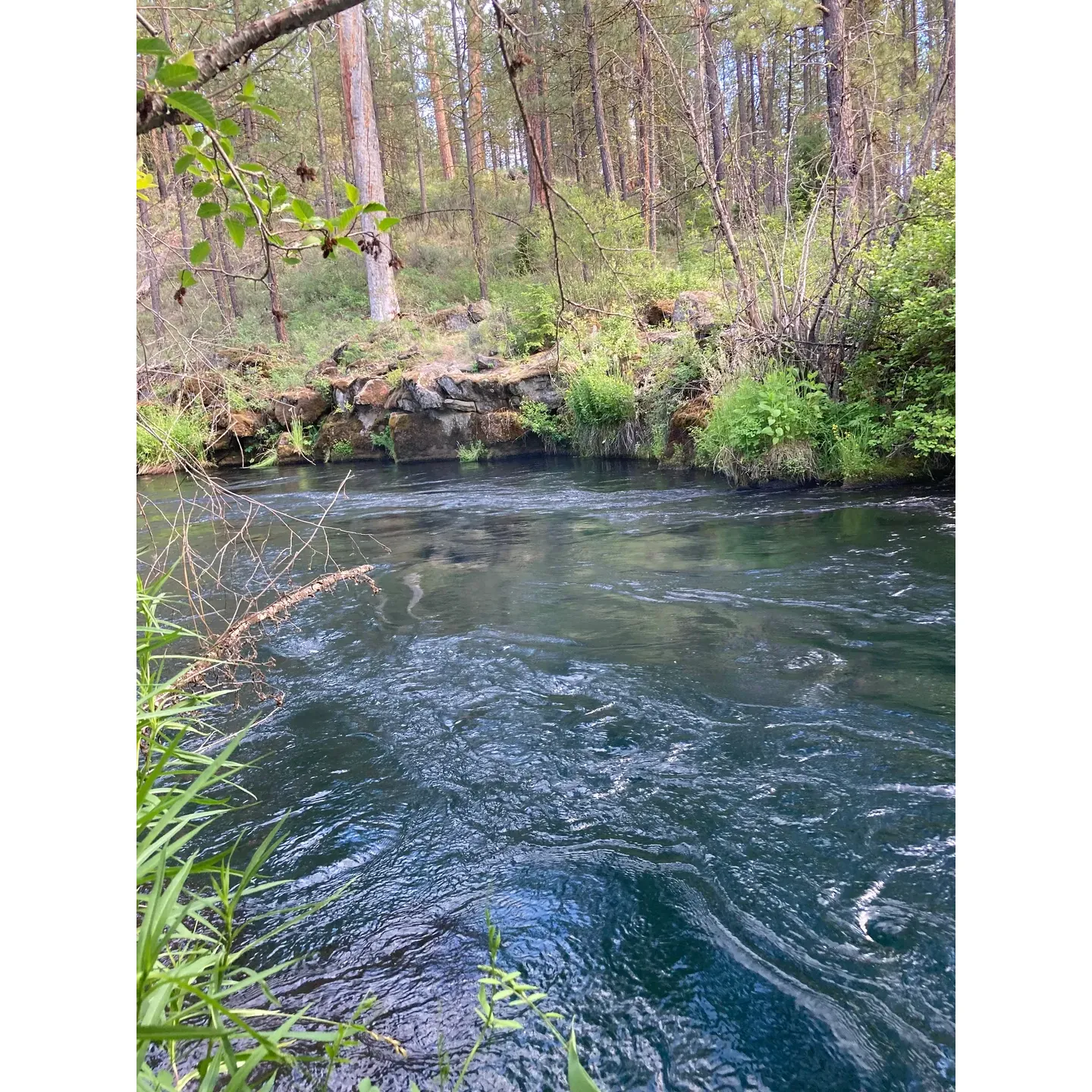 Lower Canyon Creek Campground is a serene and inviting outdoor destination offering an idyllic retreat for nature lovers and hiking enthusiasts. Set along the picturesque Metolius River, the campground provides an excellent starting point for adventurers eager to explore the surrounding wilderness. A highlight for many visitors is the fabulous hike leading up to the enchanting Wizard Falls Fish Hatchery, where one can learn about local fish species and conservation efforts.

The camp area itself boasts beautiful views of the river with its vibrant rapids, creating a peaceful backdrop for your stay. Returning campers fondly remember their experiences and often plan repeat visits, drawn by the area's natural charm and the tranquil atmosphere it offers.

With accessibility to the Metolius River Trail from the campground, guests are treated to easy access to miles of scenic walking and hiking paths that meander through lush forests and alongside the rushing river. While the campground itself maintains a more rustic appeal with minimal facilities, its affordability and prime location make it a hidden gem for those seeking simplicity and a true escape into nature's embrace. Whether you're aiming to cast a line in the river, hike the verdant trails, or just relax to the sounds of the flowing water, Lower Canyon Creek Campground is a delightful spot to create lasting memories amid the beauty of the great outdoors. Description by ChatGPT.