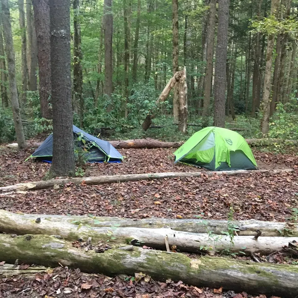 Backcountry Camp 02 emerges as a scenic escape for nature enthusiasts seeking an intimate outdoor experience. This serene camping spot accommodates a group of four, providing a classic camping ambiance with essential amenities such as a dedicated fire ring, creating the perfect setting for sharing stories and roasting marshmallows under the canopy of stars. 

Elevating the outdoor adventure, the camp offers four conveniently placed hooks on a bear line for secure food storage, allowing for a safe and worry-free stay amidst the wilderness. Located a short 50 yards from a gently flowing creek, visitors can relish the soothing sounds of the water which acts as a natural soundtrack for relaxation and tranquility.

The approach to the campsite is as inviting as the location itself, with a 4-mile trek from the nearby hiker parking at Abrams Creek Campground. The journey is noted for its ease, offering a refreshing hike that complements the camping experience. With an abundance of water sources dotted along the path, hikers can replenish and revel in the picturesque surroundings.

Backcountry Camp 02 is an idyllic destination for small groups or solo travelers seeking a harmonious connection with nature. The site's simplicity allows adventurers to immerse themselves in the great outdoors while enjoying the basic comforts that enhance the camping adventure. Description by ChatGPT.