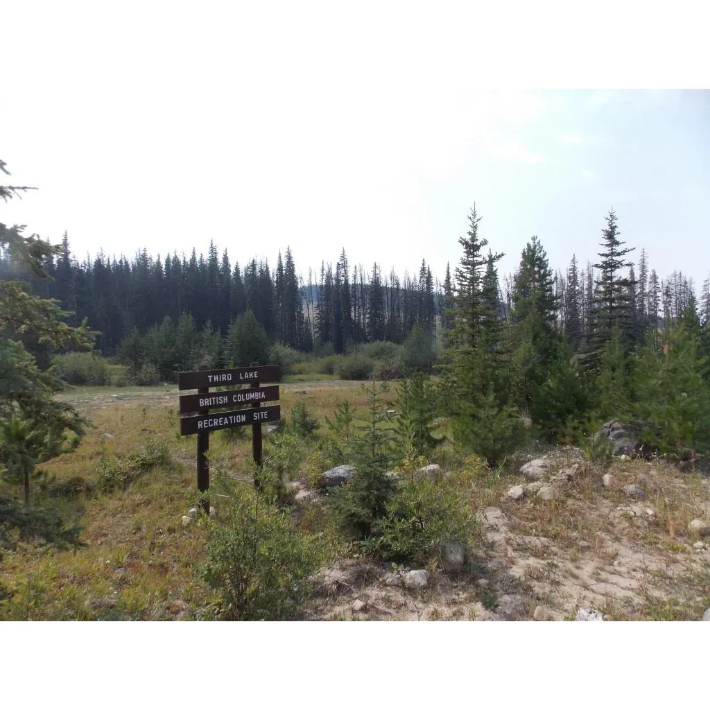 Third Lake Recreation Site is a popular outdoor destination located in Thompson-Nicola, British Columbia, Canada. The site offers a range of recreational activities for visitors to enjoy, including fishing, camping, hiking, and birdwatching. The crystal-clear waters of Third Lake provide an ideal spot for fishing enthusiasts, with rainbow trout being a commonly caught species.

The site is equipped with basic amenities such as picnic tables, fire pits, and pit toilets, making it a convenient and comfortable place for visitors to spend time in nature. Camping is permitted at designated sites along the shores of Third Lake, allowing visitors to immerse themselves in the beauty of the surrounding wilderness. The site is a great option for those looking to escape the hustle and bustle of city life and enjoy the tranquility of nature.

Located in a picturesque area of British Columbia, Third Lake Recreation Site is a hidden gem for outdoor enthusiasts seeking a peaceful and scenic retreat. Whether it's casting a line in the pristine waters, hiking through the surrounding forests, or simply unwinding by a campfire under the stars, Third Lake offers an unforgettable outdoor experience for visitors of all ages. Description by ChatGPT.