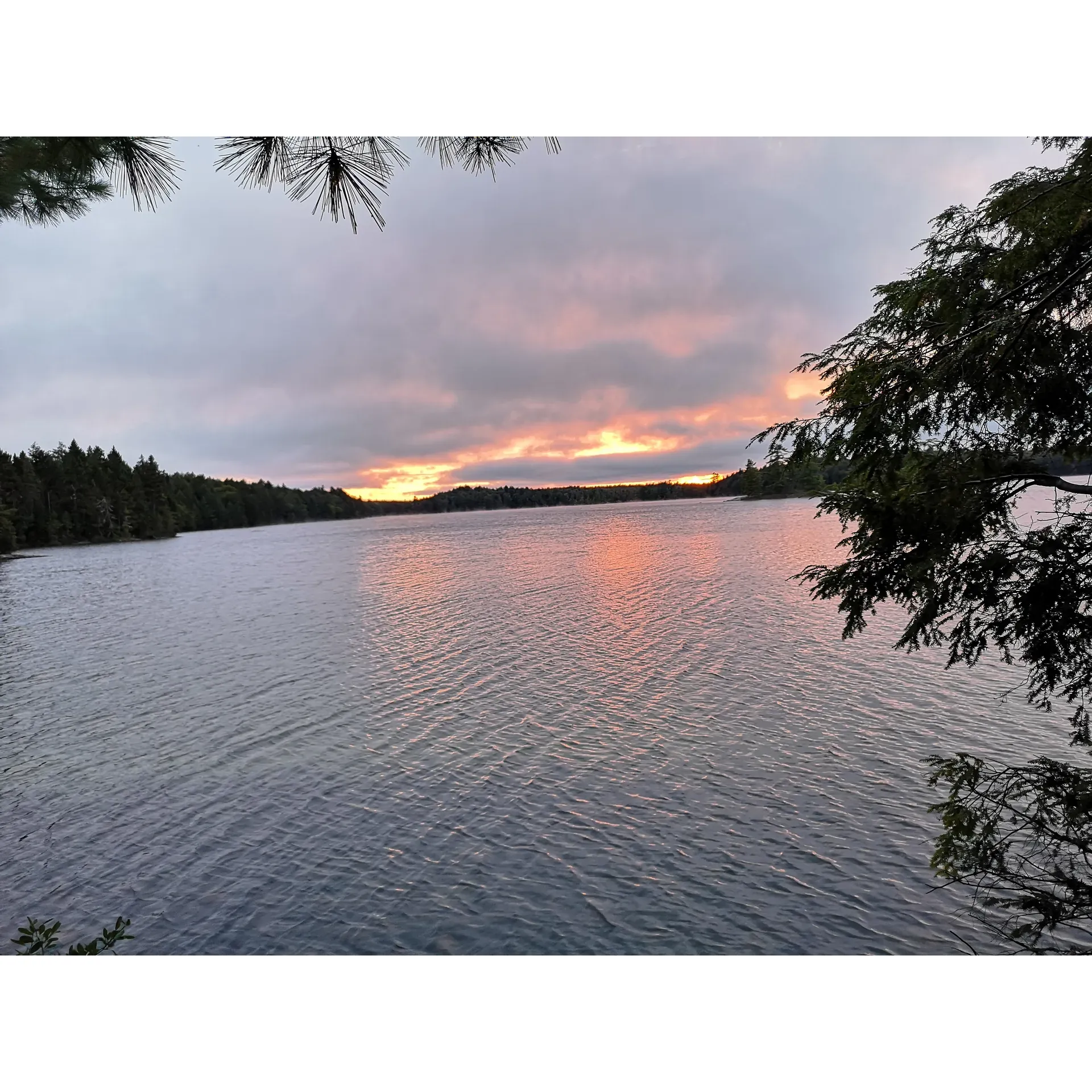 Maggie Lake is an idyllic outdoor destination that offers visitors a scenic escape into nature. The picturesque surroundings provide a serene backdrop for those looking to unwind amidst the beauty of unspoiled landscapes. Dedicated campers and visitors frequently go the extra mile to enhance the rustic charm of the site, contributing to its upkeep by removing detritus and making thoughtful additions to communal spaces like the fire pit. Enthusiastic reviews often highlight the spirit of community and stewardship, as many individuals take pride in leaving the environment better than they found it. The collective effort to maintain and improve the site underscores a shared commitment to preserving the natural splendor of Maggie Lake for future visitors to enjoy. Description by ChatGPT.