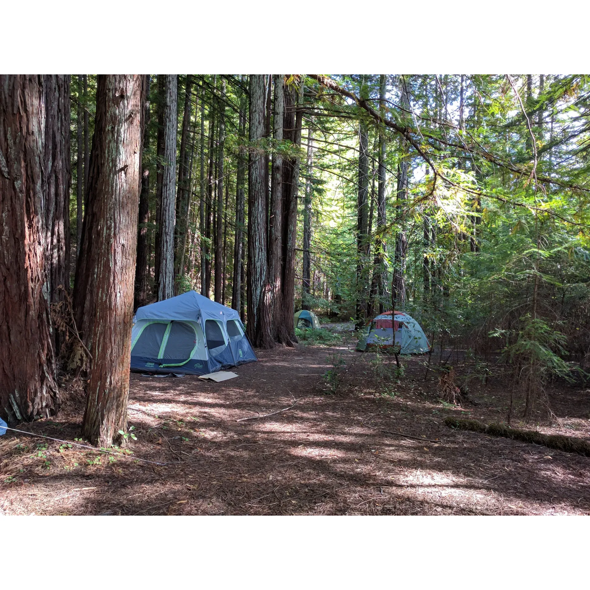 Baxter Environmental Camp offers a serene escape into nature, where tranquility and privacy are easily found amidst the beauty of the great outdoors. With picturesque campsites such as site #2, visitors can look forward to a brief, scenic stroll from their vehicles to their temporary woodland abode, embracing the splendid isolation that only a walk-in campground can provide. The ambiance here is one of solitude and peace, away from the hustle and bustle of crowded campgrounds.

Guests are invited to enjoy their stay surrounded by the calming sounds of a nearby creek while relishing in the lush surroundings that promise a refreshing experience. Revel in the company of friends or the pleasure of a solo adventure as Baxter Environmental Camp facilitates a perfect backdrop for making memories.

Nature enthusiasts will appreciate the timeless charm of Baxter Environmental Camp, recalling the untouched beauty of decades past where summer days could be spent swimming in the pristine, boulder-surrounded pools of Bull Creek. It's a place where the simplicity of camping combines with the pure joy of the environment to create a slice of heaven on earth for anyone looking to unwind and reconnect with nature. Description by ChatGPT.