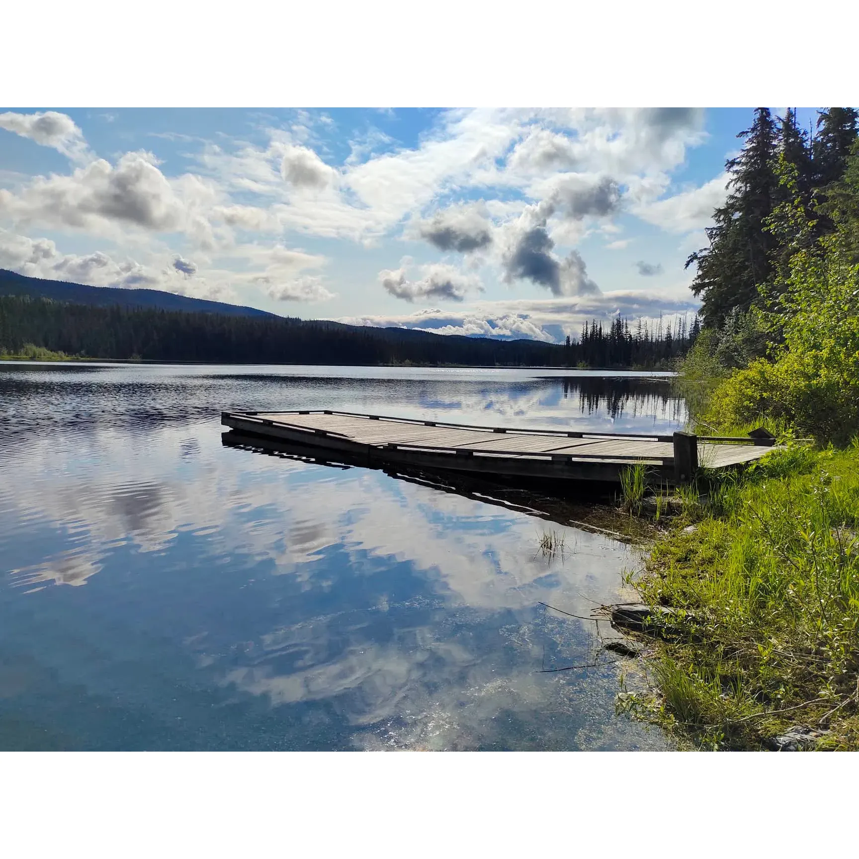 Derrick Lake Recreation Site offers an adventure for those seeking to immerse themselves in the glory of the great outdoors. The journey starts with a scenic drive north from the junction of Highway 16 and 37, followed by a turn into the wilderness on a forest road 83 km north of the juncture, a path that's just been smoothed slightly by a road grader. While the way may be rugged, it presents no challenge for vehicles equipped to handle off-road conditions, such as pick-up trucks, SUVs, and other 4x4s—creating an exciting prelude to the pristine natural surroundings that await.

Upon your arrival at the site, the dock area acts as a welcoming gateway to a picturesque setting that entices with bounteous angling opportunities. Derrick Lake is a veritable fishing haven, with visitors routinely delighting in an abundant catch of rainbow trout, sometimes humorously quoted that one would have to hide to not make a catch. Anglers can enjoy the ease of casting their lines right from the dock or launching canoes and kayaks to explore the tranquil waters.

For those visiting in prime seasons, you'll be pleased to find that nature has moments of respite from the bustling wildlife, offering times of the year where mosquitoes are notably absent, further enhancing the enjoyment of the lush surroundings.

Birdwatching enthusiasts will find their sanctuary here, with a diversity of species thriving in the area. Take time to observe the likes of the Common Loon, the majestic Osprey, the stately Bald Eagle, and the playful Steller's Jay, among other avian wonders. Derrick Lake is a location that promotes peaceful observation, with visitors often compiling impressive checklists of the varied bird species that call this site home.

A visit to Derrick Lake Recreation Site is more than just an escape—it's an encounter with uninterrupted nature, a place where the blissful silence and solitude reign supreme. Whether you're a fishing aficionado, kayaking enthusiast, or simply someone who appreciates the calming serenity of a secluded lake, your time here is sure to be memorable. Derrick Lake stands as an idyllic destination, a hidden gem for those in search of tranquil beauty, where on occasion, you might find you have the entire landscape to yourself—a rare luxury in the bustling modern world. Description by ChatGPT.