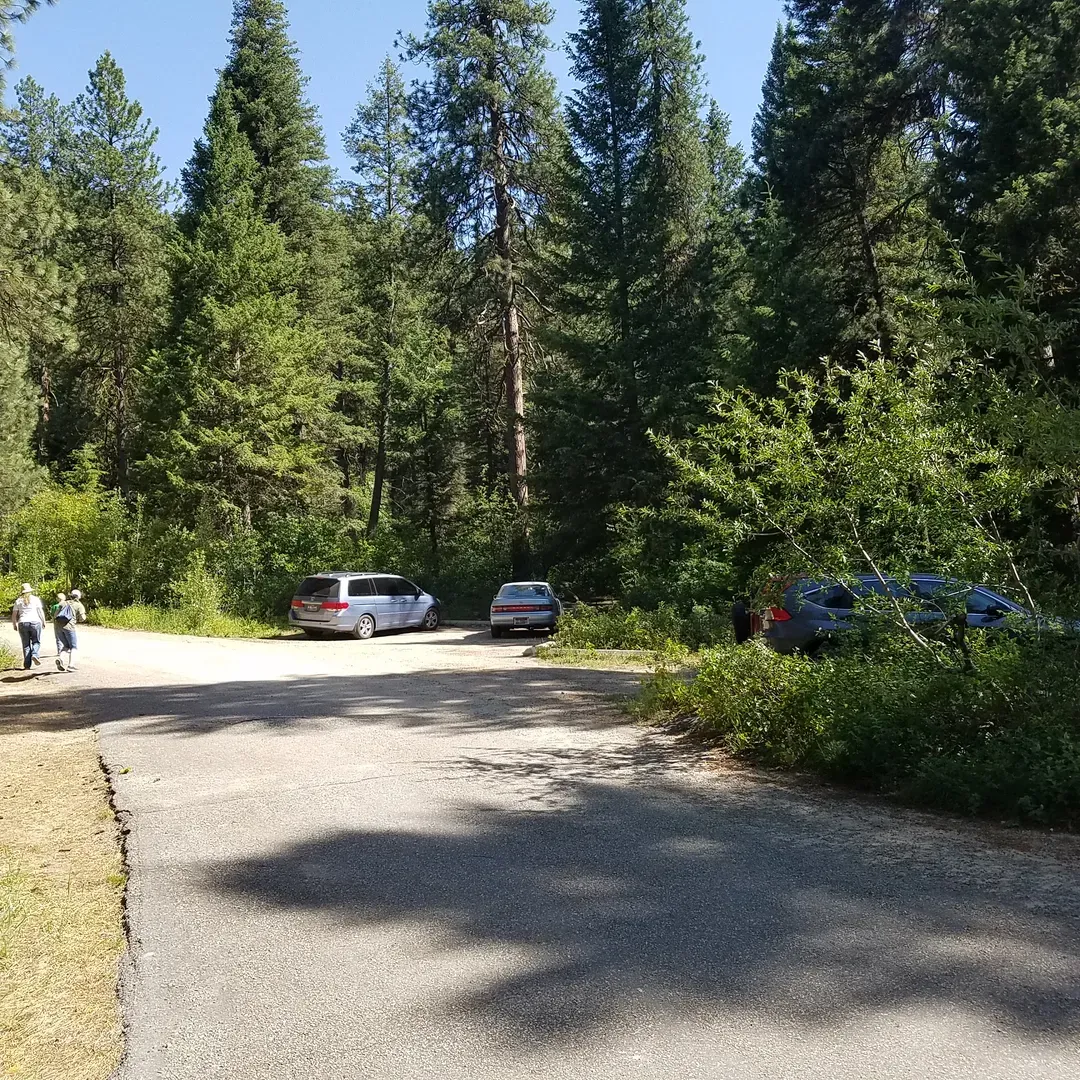 Hayfork Group Campground is a delightful retreat for outdoor enthusiasts and families seeking a getaway immersed in nature's tranquility. Visitors often praise the serene setting, where the gentle murmur of a nearby waterway provides a soothing backdrop that pleasantly masks any distant highway sounds, creating an ideal ambience for relaxation.

One of the unique features of this campground that guests find charming is the access to clean, cold water via an old-fashioned hand pump, adding a touch of rustic novelty to the camping experience. The water, as visitors report, is refreshingly cold and tastes wonderful, lending a pure feel to the outdoor adventure.

For gatherings, from family reunions to friendly meet-ups, Hayfork provides a nice, accommodating space where groups can enjoy the great outdoors together. Guests can take pleasure in the scenic beauty of the area, where lush trees and a picturesque creek contribute to the overall serene atmosphere. The campground is noted for its quiet and peaceful environment, often providing guests with the pleasure of having much of the area to themselves for a truly private escape.

Kids have the opportunity to play in the creek, while adults find the setting perfect for unwinding and soaking in the natural beauty around them. Moreover, the campground's strategic location offers easy access from the road, making it a convenient choice for a quick getaway or an extended stay.

Facilities such as bathrooms contribute to the practicality of the campsite, ensuring essential needs are met while maintaining a rustic charm. Furthermore, the area is usually free of mosquitoes, a significant plus for outdoor comfort, while wildlife enthusiasts may appreciate the chance to observe local fauna in their natural habitat.

For those arriving with RVs, the setting offers a genuine return to traditional camping with a picturesque stage. Overall, Hayfork Group Campground is celebrated as a place where memories are made, nature's beauty is appreciated, and peaceful moments are abundant, providing a beautiful backdrop for both relaxation and adventure. Description by ChatGPT.