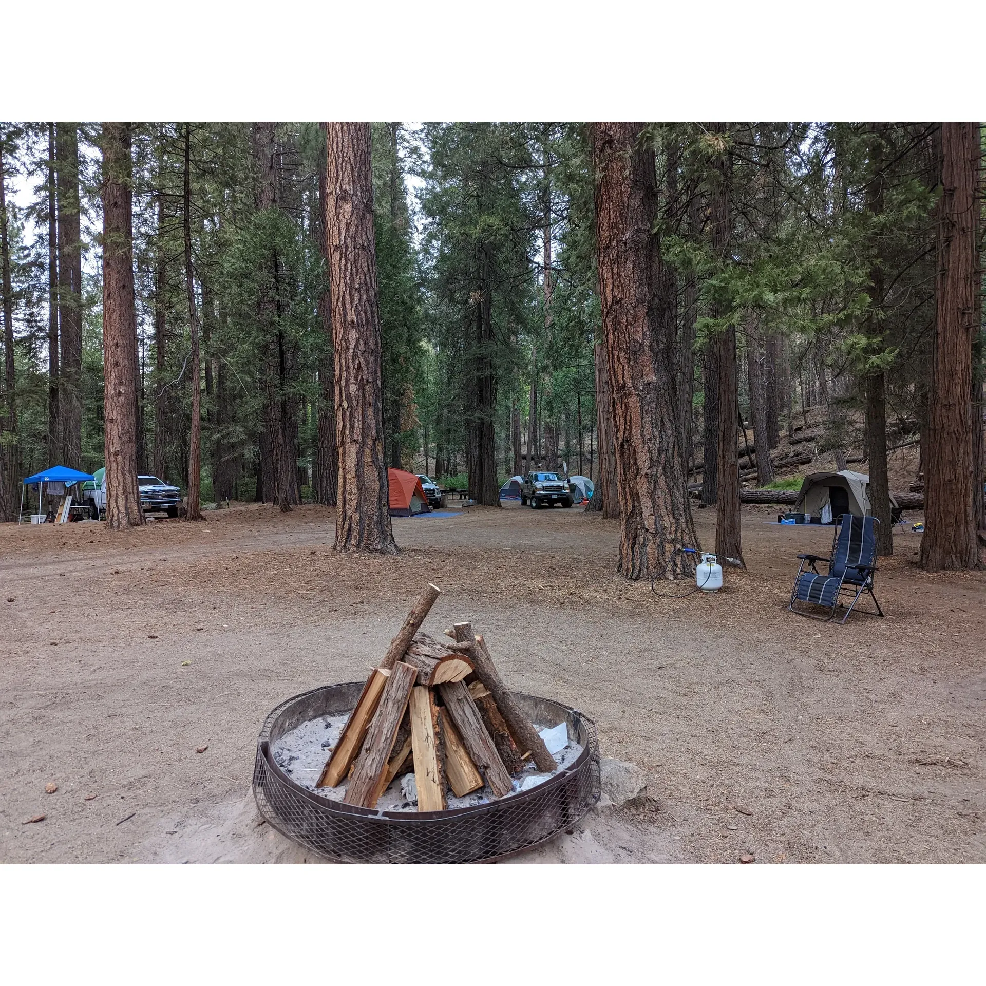 Logger Flat Group Campground offers a cherished retreat into the great outdoors, boasting a legacy of happy campers that spans generations. Embraced by the natural beauty of its surroundings, families and individuals alike are delighted by the pristine condition of both the campgrounds and facilities, ensuring a comfortable stay amidst nature's splendor.

Visitors revel in the privacy afforded by the spacious layout, with ample room to spread out and enjoy the tranquility of the wilderness. The serenity of the environment is only enhanced by the gentle babble of the campground's very own creek, providing a soothing soundtrack to an already peaceful getaway.

Whether seeking a soul-soothing escape or a joyous family gathering, the campground's stunning scenery offers the perfect backdrop. Trees sway gracefully in the breeze, and the beauty of the area invites all who visit to relax and soak in the picturesque landscapes.

Logger Flat Group Campground has earned its reputation as a wonderful experience for those looking to immerse themselves in the serenity of nature while enjoying clean, well-maintained amenities and the warmth of an inviting outdoor community. Description by ChatGPT.