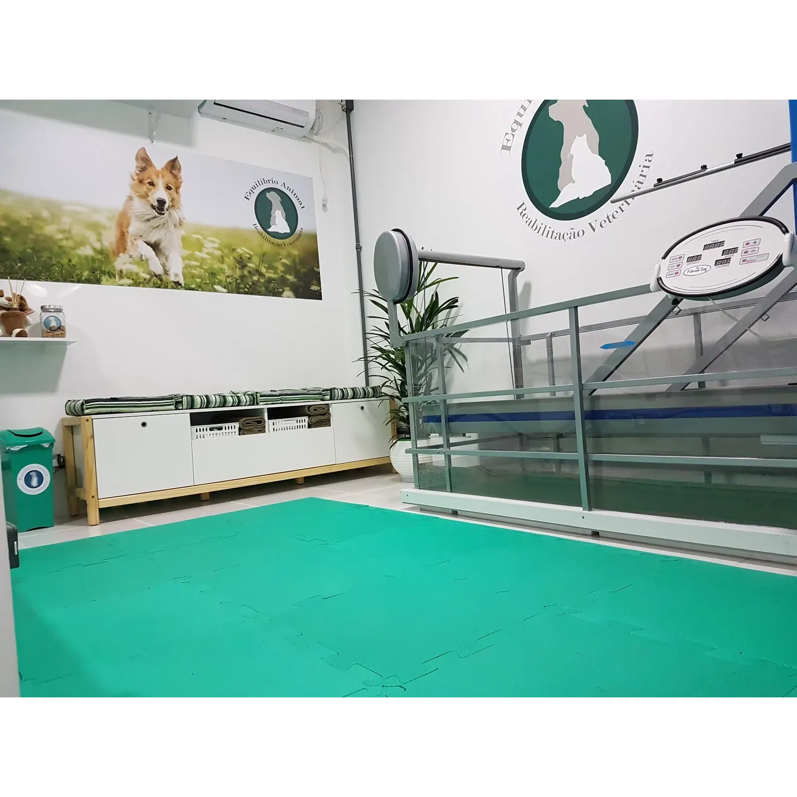 Equilíbrio Animal is a highly regarded veterinary practice specializing in rehabilitation and physiotherapy services for pets. The practice boasts a professional and dedicated team, with particular acclaim for Doctor Carol, who consistently receives praise for her attentive and compassionate approach to animal care. Clients recommend the facility thanks to the personalized treatment plans that are skillfully tailored to meet the unique needs of each animal.

With state-of-the-art equipment and a commitment to current physiotherapy techniques, Equilíbrio Animal ensures pets receive the highest standard of therapeutic care. The warm and welcoming atmosphere of the clinic, combined with the expertise of its staff, fosters a nurturing environment where pets can thrive on their journey to recovery.

Their services attract pet owners who are seeking a supportive and knowledgeable team to help their animals overcome injuries, manage chronic conditions, or achieve optimal well-being. Equilíbrio Animal's reputation as a trustful and effective veterinary practice underscores its success in delivering both cutting-edge and heartfelt care to the animal community. Description by ChatGPT.