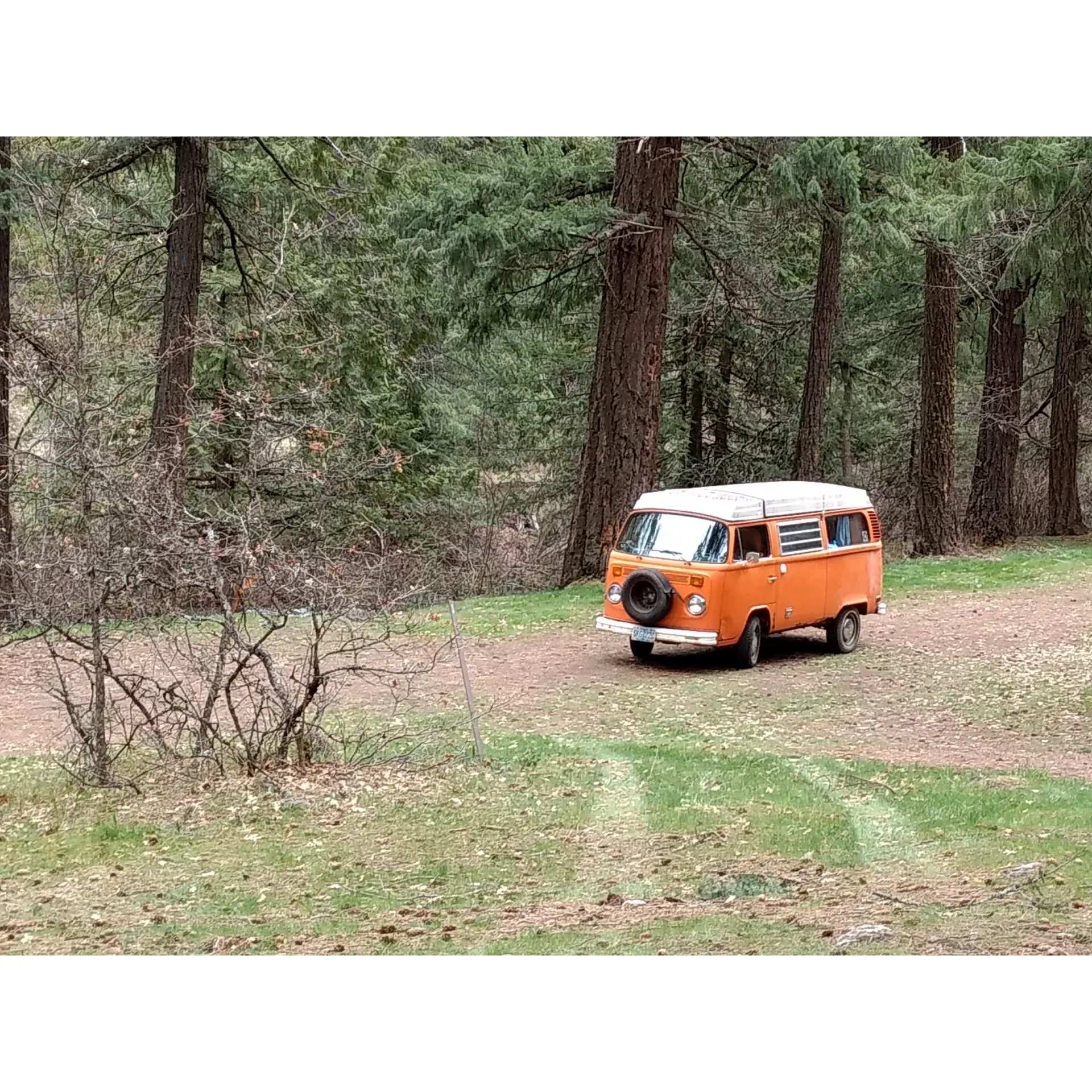 Bonney Crossing Campground is a serene and picturesque camping destination that offers an authentic outdoor experience for nature lovers and adventure seekers. As an oasis of tranquility, the campground boasts expansive sites along the meandering Badger Creek, providing campers with a soothing soundtrack of flowing water and a refreshing water source to engage with nature intimately. The sprawling grounds include six individual sites, each complete with a picnic table and permanent fire pit, allowing for cozy evenings under the stars.

Visitors revel in the convenience of having the trailhead to scenic hikes just a stone's throw away, making it an ideal launchpad for explorers looking to traverse the surrounding wilderness. With enchanting forests that boast a level of wildness uncommon in more trafficked locations, the area promises to leave adventurers with a sense of awe and an eagerness to discover what lies beyond the beaten path.

For those with a passion for equine adventures, the campground is accommodating, providing horse pens for your trusted companions. The nearby trails offer a delightful experience for both rider and mount. Additionally, the campground is praised as a perfect retreat for hunting enthusiasts, offering a sense of calm and an opportunity to unwind, with many visitors returning annually to embrace the peaceful atmosphere during the hunting season.

An added charm of Bonney Crossing Campground is the moments of solitude it offers, where some lucky campers may find themselves the sole visitors, enhancing the feeling of having your own private slice of wilderness. The sense of community and nature is further fostered as guests gather around the fire pits, sharing stories and making memories.

Bonney Crossing Campground represents a true camping haven for those looking to disconnect from the hustle of daily life and reconnect with the great outdoors. With its blend of convenience, natural beauty, and tranquil ambiance, it beckons campers back year after year to revel in its simplistic charm and the joy of wilderness exploration. Description by ChatGPT.