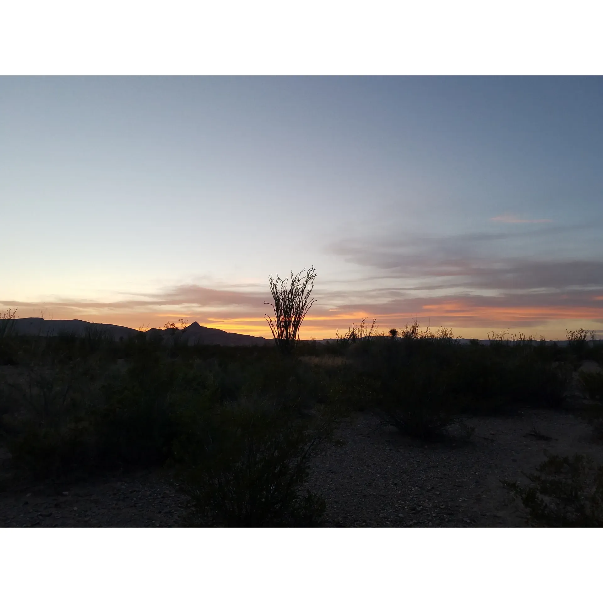 Ocotillo Grove offers a prime camping experience for travelers seeking a blend of seclusion and accessibility. Boasting an excellent location, the site allows for expansive views of the surrounding natural landscapes, serving as a picturesque backdrop for both adventure and relaxation. Designed to accommodate a variety of camping preferences, Ocotillo Grove provides ample space for larger travel trailers, up to 22.5 ft, with convenient access strategies to ensure a smooth arrival and set-up, even for those towed by robust vehicles like the BMW X5M SUV.

Guests can look forward to serene camping spots that offer a sense of privacy while still being within proximity to the captivating canyon areas. Nature lovers will be delighted to discover the local fauna's hideaways, like the hog wallows nestled in the nearby undulating hills, inviting exploration and unique wildlife observation opportunities.

The site's westward orientation promises stunning sunset vistas that perfectly complement the outdoor experience. Additionally, visitors desiring to stay connected will appreciate the strong internet LTE coverage, ensuring that they can share their memorable moments or stay in touch with the outside world as they savor the tranquility of Ocotillo Grove. Description by ChatGPT.