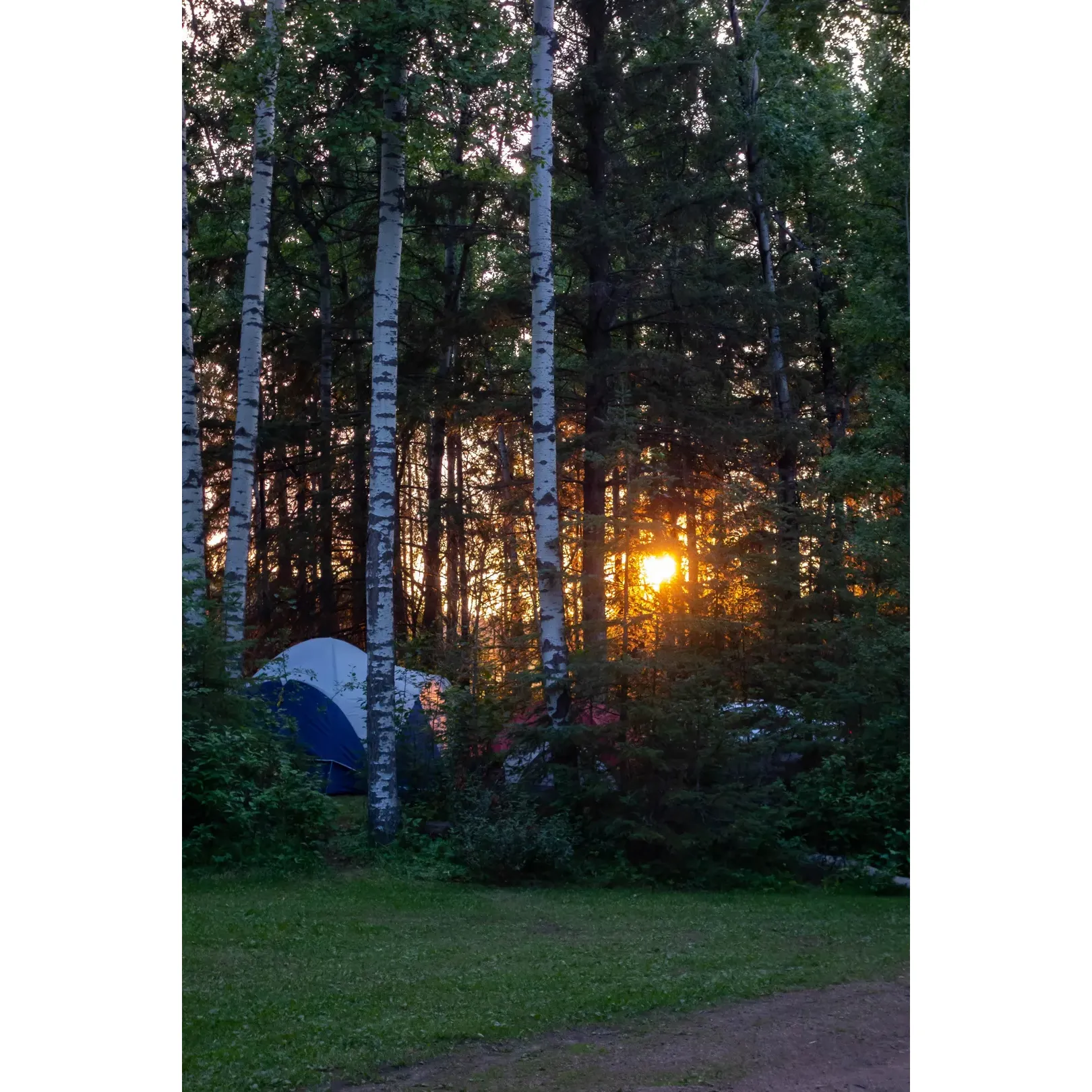 Discover the charm of outdoor living at Sunnybrook Creek Park Campground, an idyllic retreat for both solo travelers and large groups looking to immerse themselves in the beauty of nature. Set within a serene landscape, the campground offers a rustic and tranquil environment. Each camping spot is well-equipped with a fire pit, perfect for those who enjoy the glow of a campfire under the stars, sharing stories, or roasting marshmallows with friends and family.

Sunnybrook Creek Park Campground provides essential amenities to ensure a comfortable stay, including a water pump for all your washing needs. Additionally, campers can make use of the communal cook shelter, a convenient option for when the weather is less than perfect.

Large groups will find the campground especially accommodating, with the possibility of booking the entire site for private use. This feature allows groups to relish in the exclusivity of the space, ensuring a memorable outdoor experience. The spacious main firepit area, complete with benches, becomes a social hub where campers can gather, while ample space around the grounds is ideal for recreational activities and games.

For those crisp autumn nights or cooler days, a gazebo near the entrance with a wood stove adds a cozy touch, providing a warm and inviting spot to huddle and relax. The campground's location, while conveniently close to the highway for easy access, retains a peaceful atmosphere for a laid-back camping trip not far from Edmonton. With the ability to host families and up to 12 campsites, Sunnybrook Creek Park Campground emerges as an excellent choice for large group camping, where creating lasting memories in the great outdoors is absolutely effortless. Description by ChatGPT.